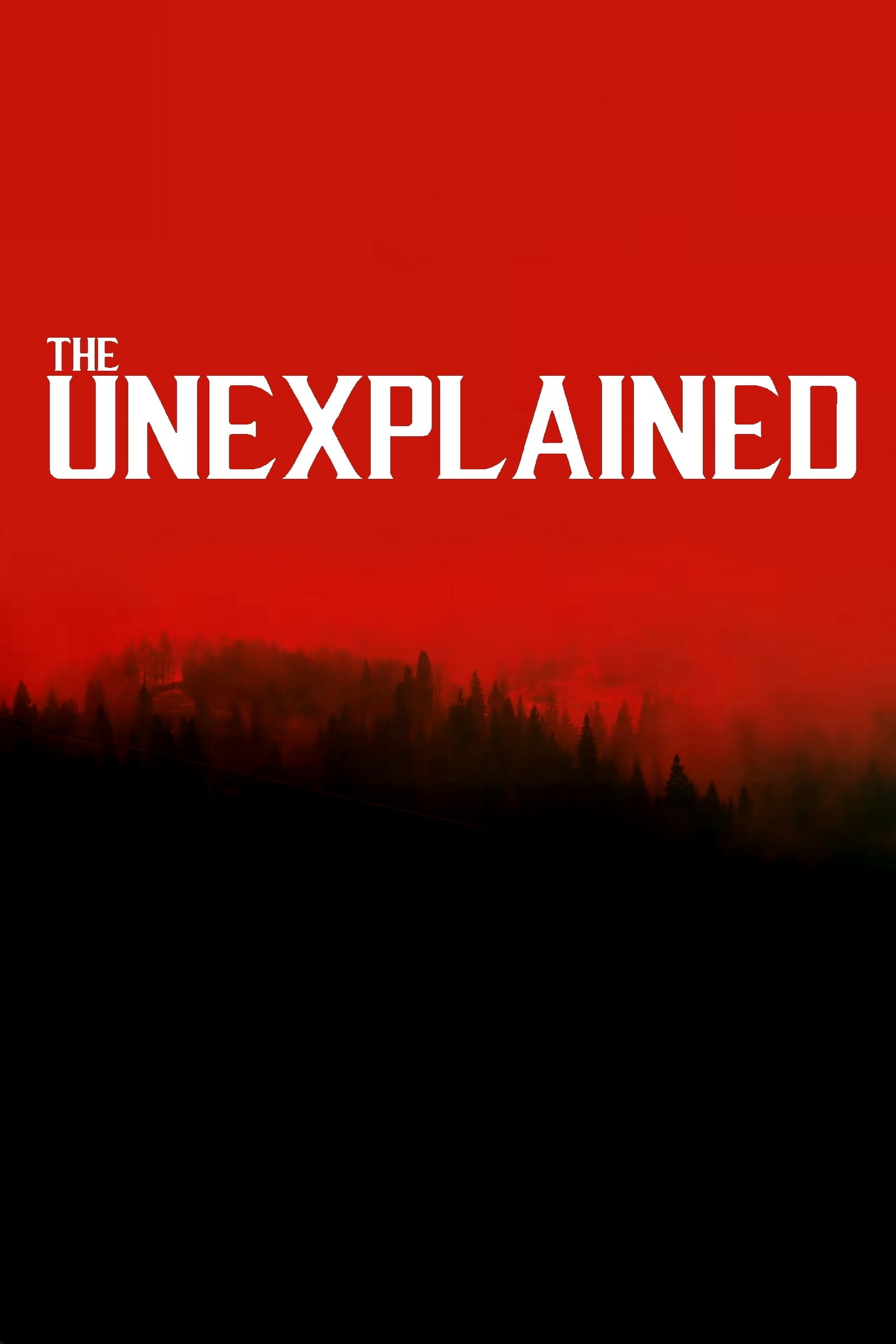 Poster de O Inexpliclável