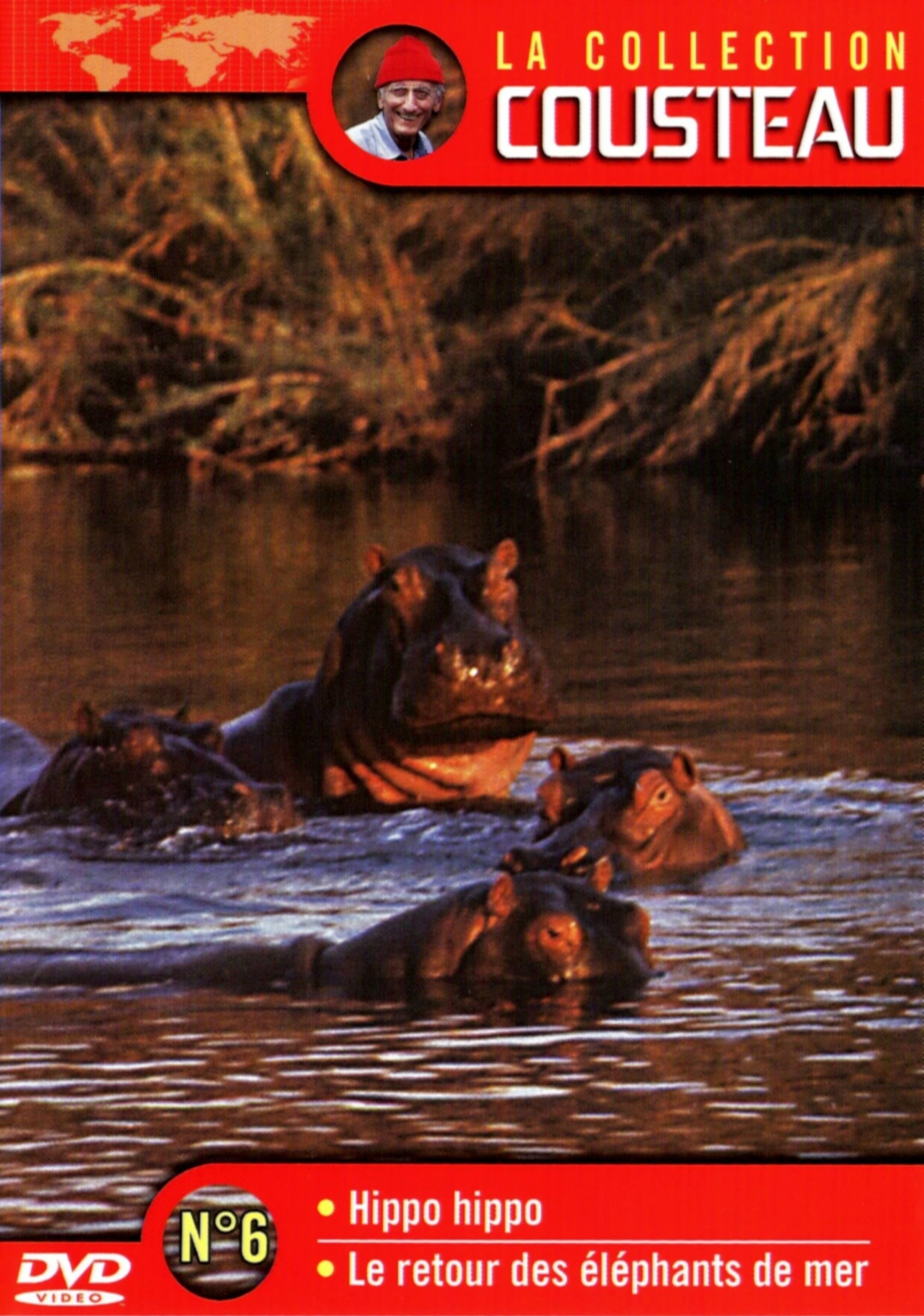 Poster de La collection Cousteau N°6 | Hippo, Hippo | Le retour des éléphants de mer