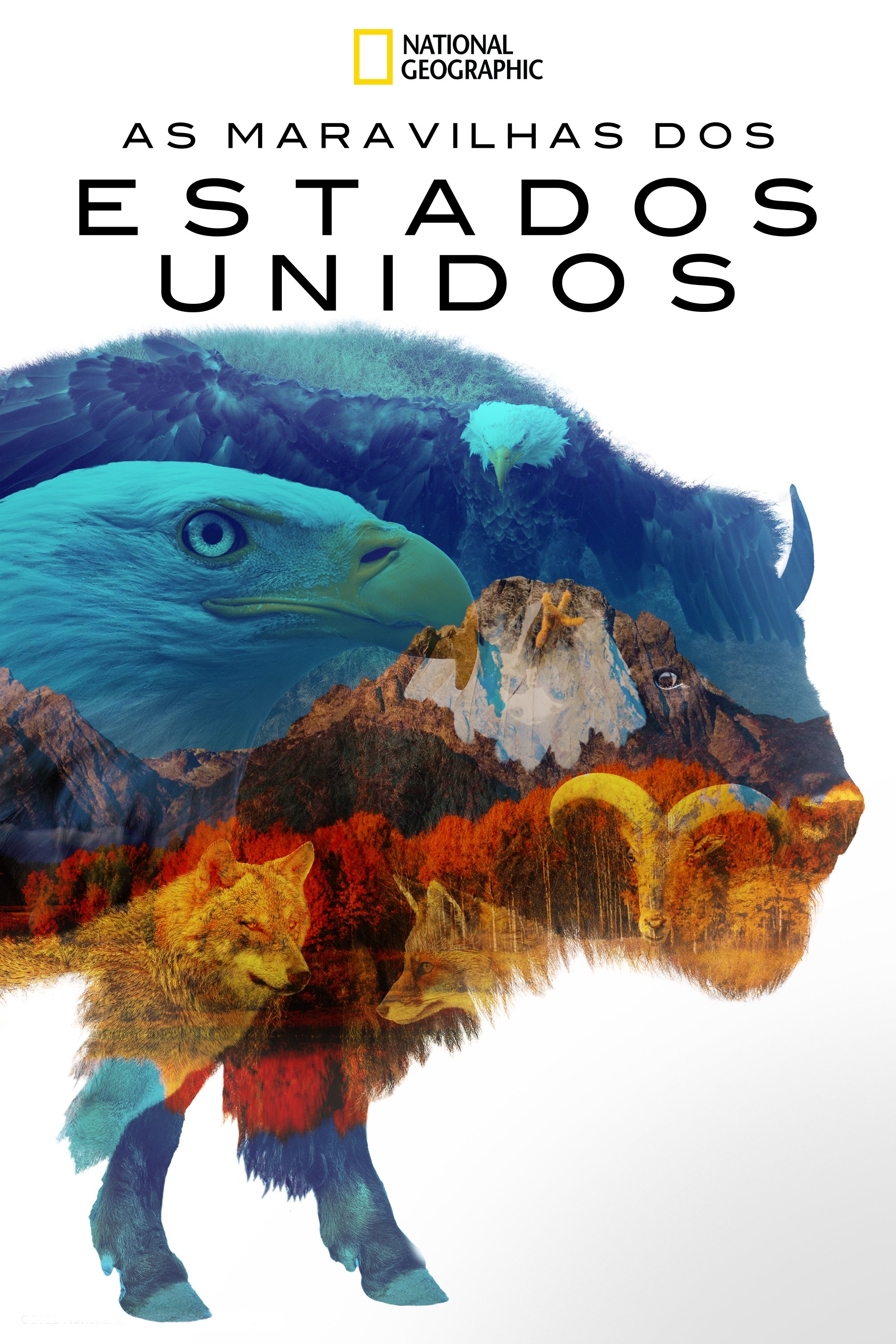 Poster de As Maravilhas dos Estados Unidos