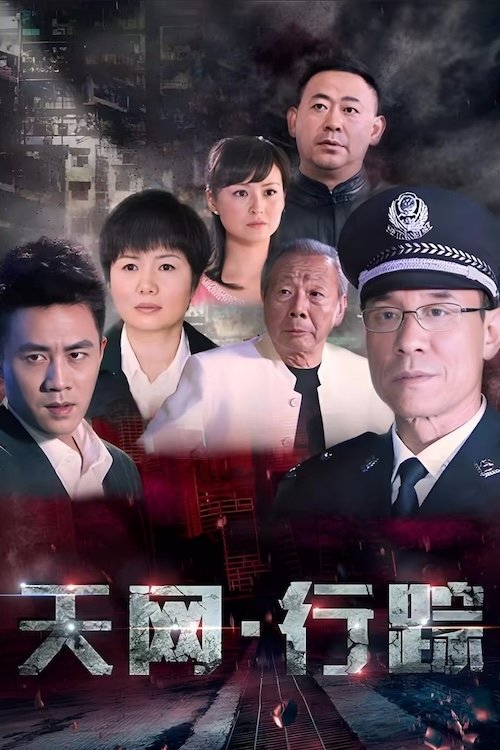 Poster de 天网行踪