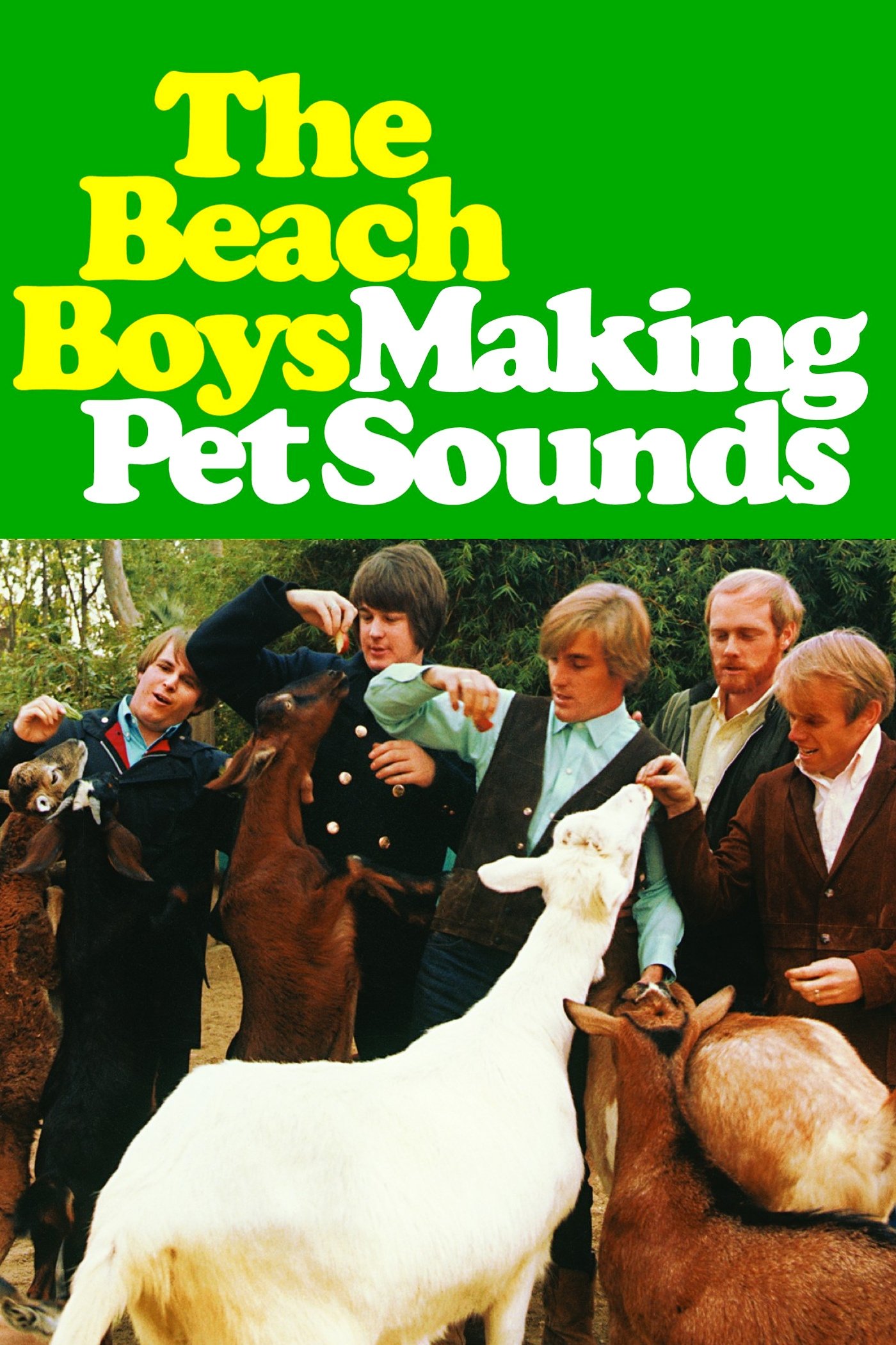 Affiche du film The Beach Boys: Making Pet Sounds