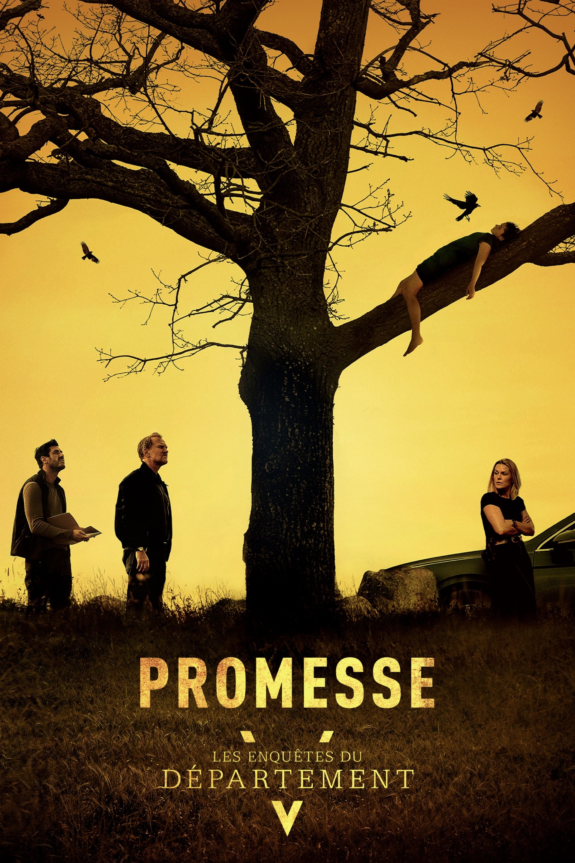 Affiche du film Den grænseløse