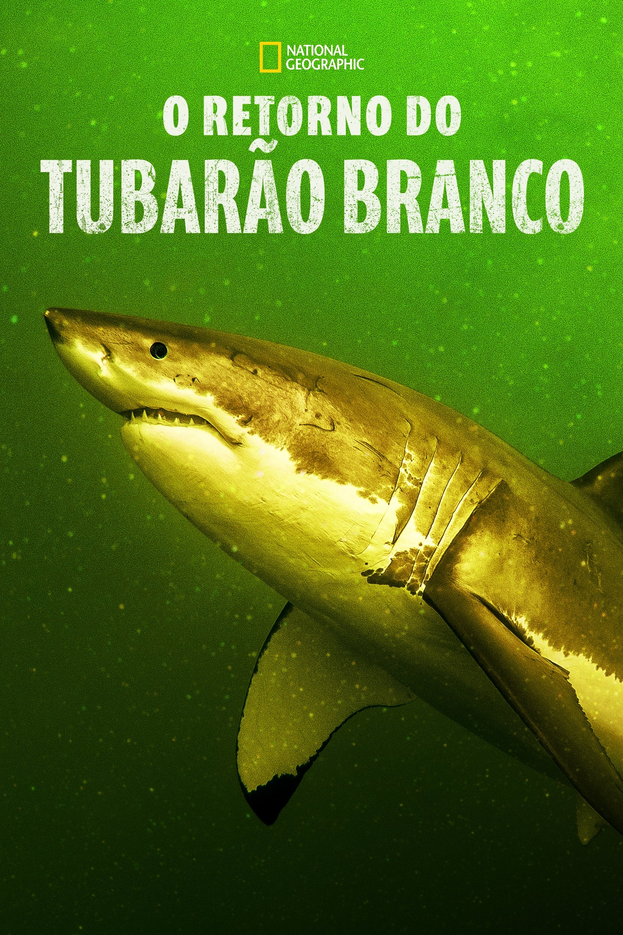 Poster de O Retorno do Tubarão Branco
