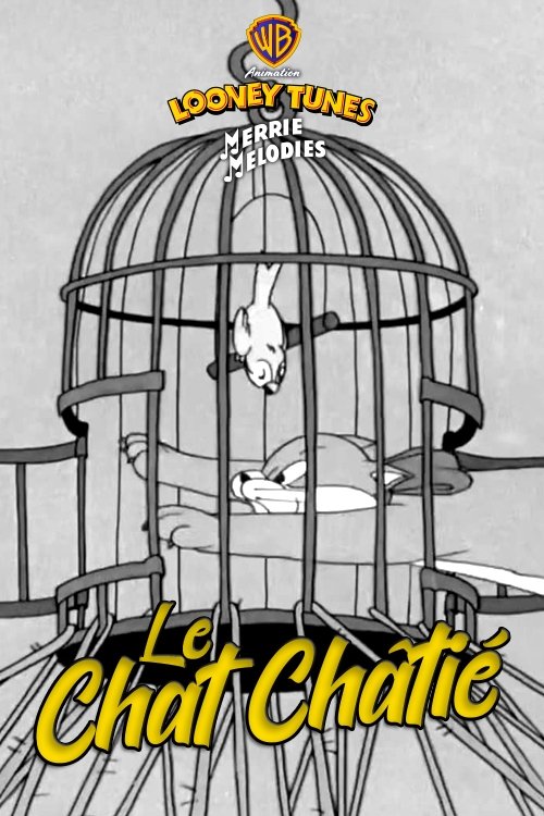Le chat chatié