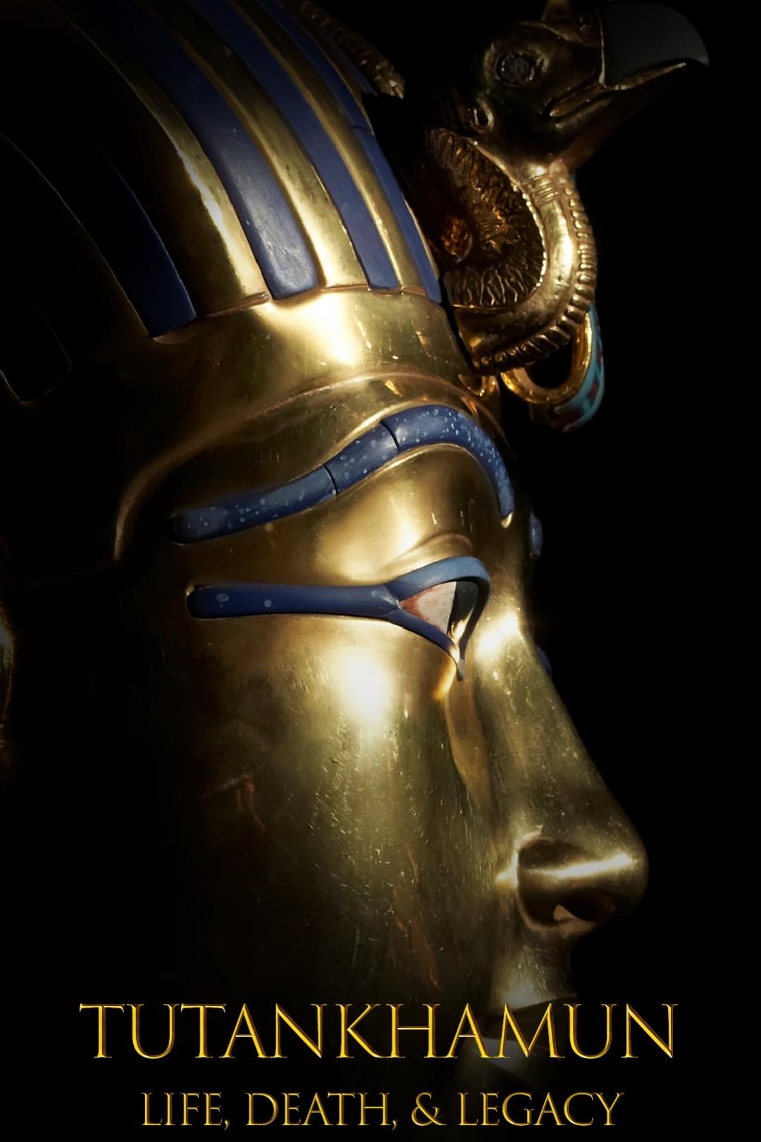 Poster de Tutankhamun with Dan Snow