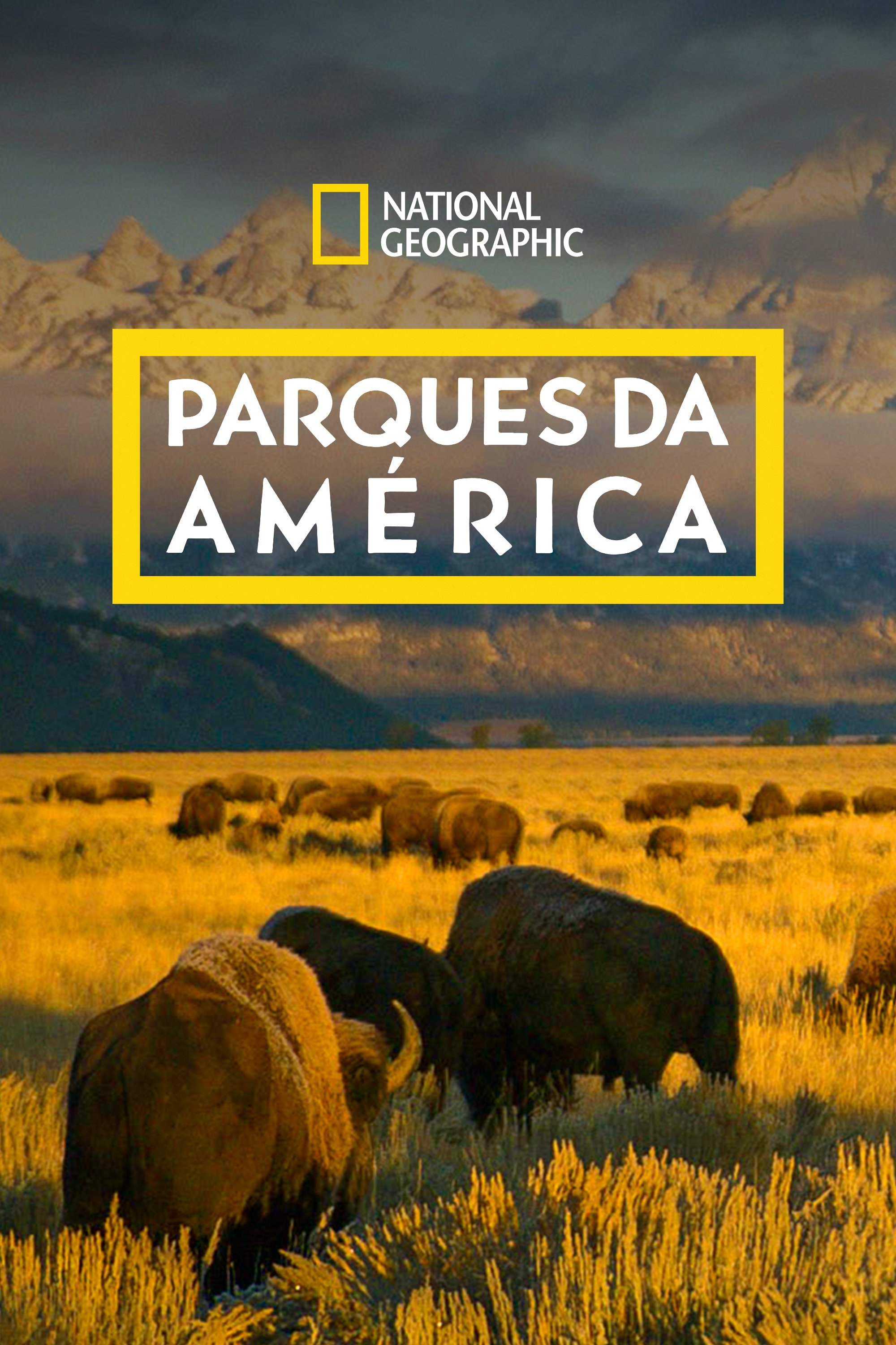 Poster de Parques da América