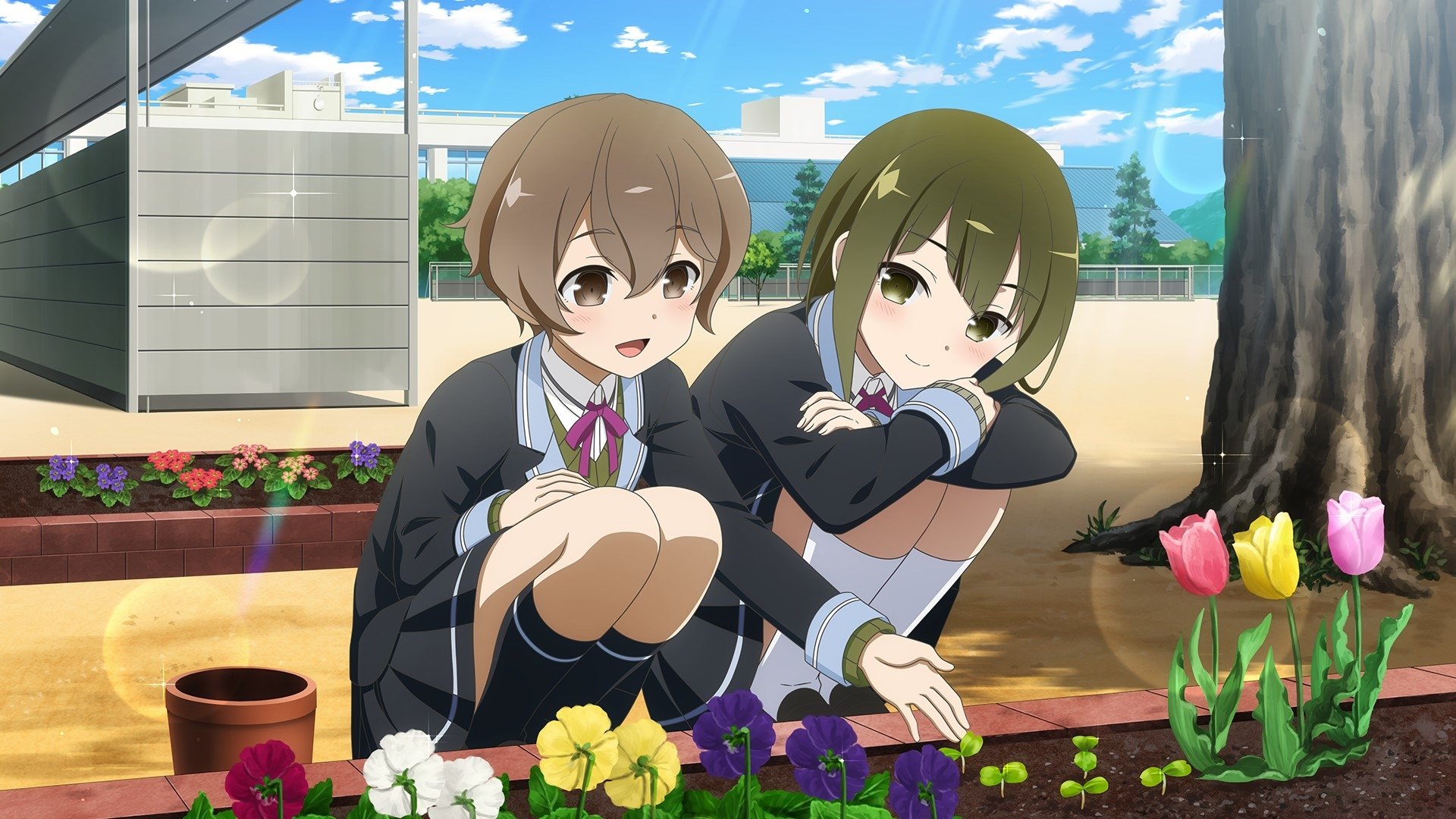 Backdrop image