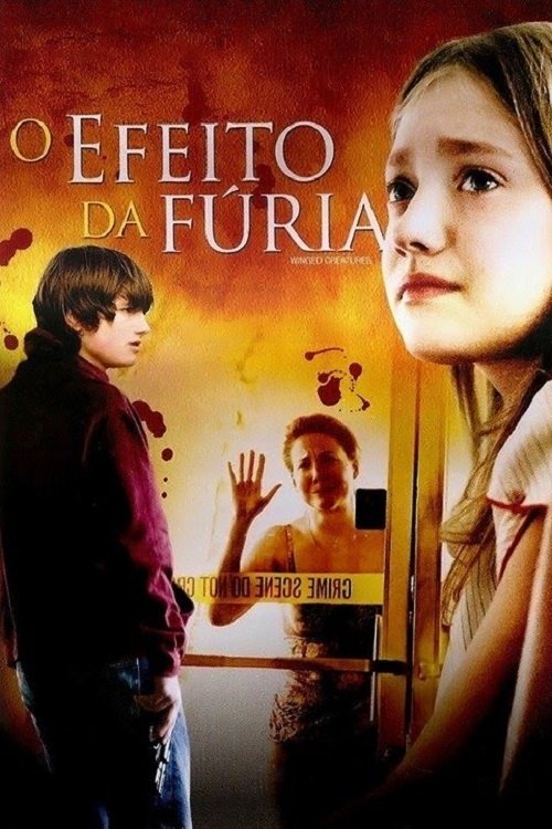 Poster de O Efeito da Fúria