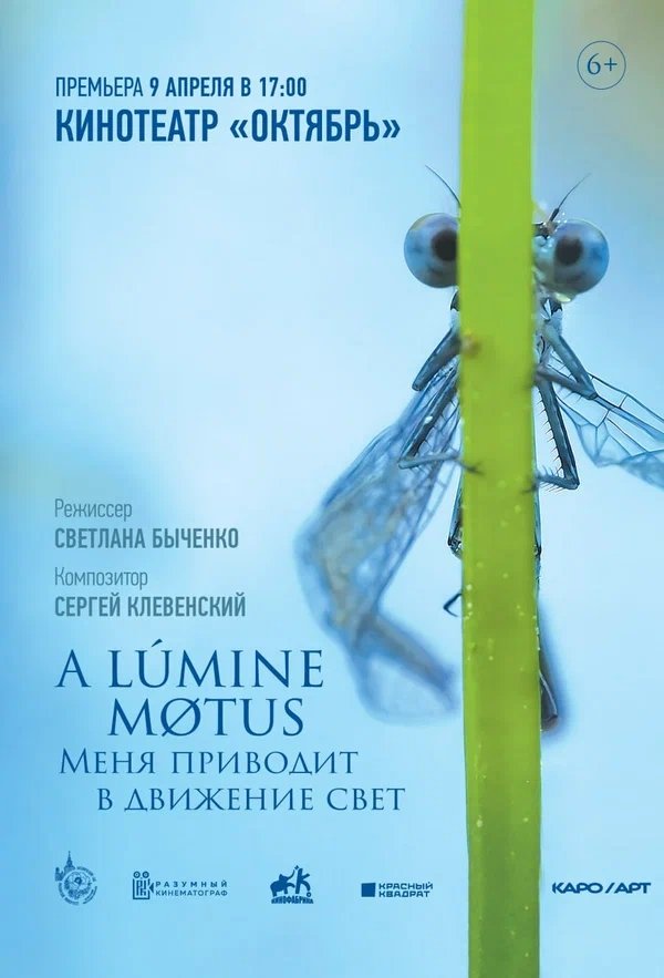 Poster de Меня приводит в движение свет