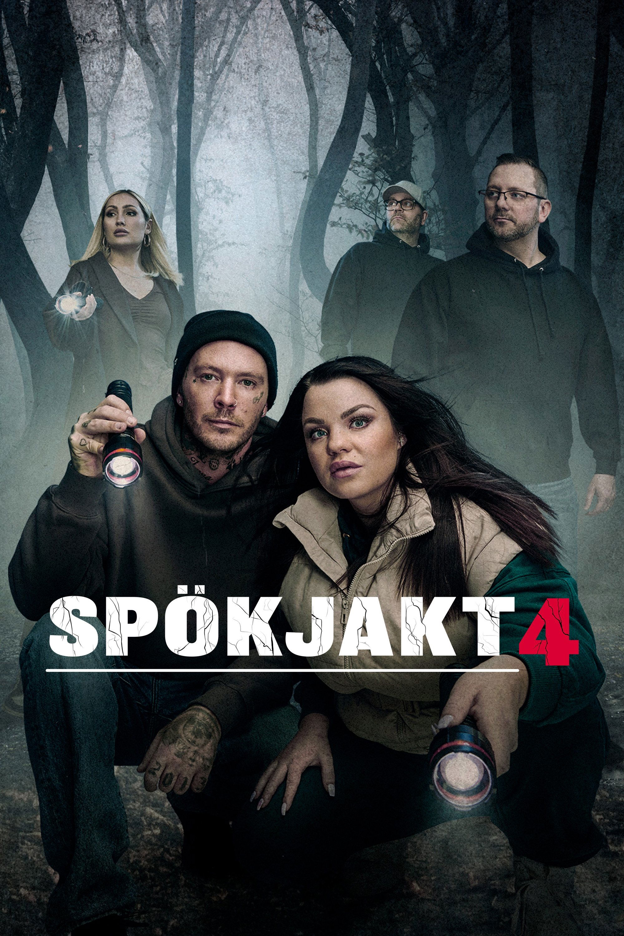 Poster de Temporada 4