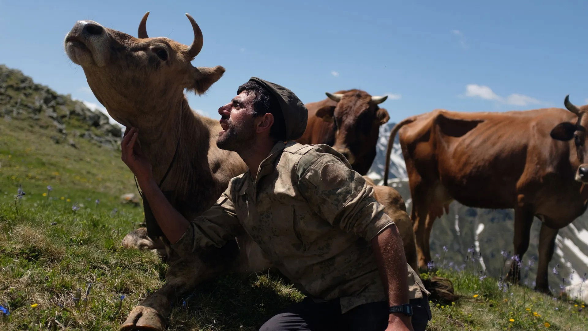 Türkiye, the paths of transhumance