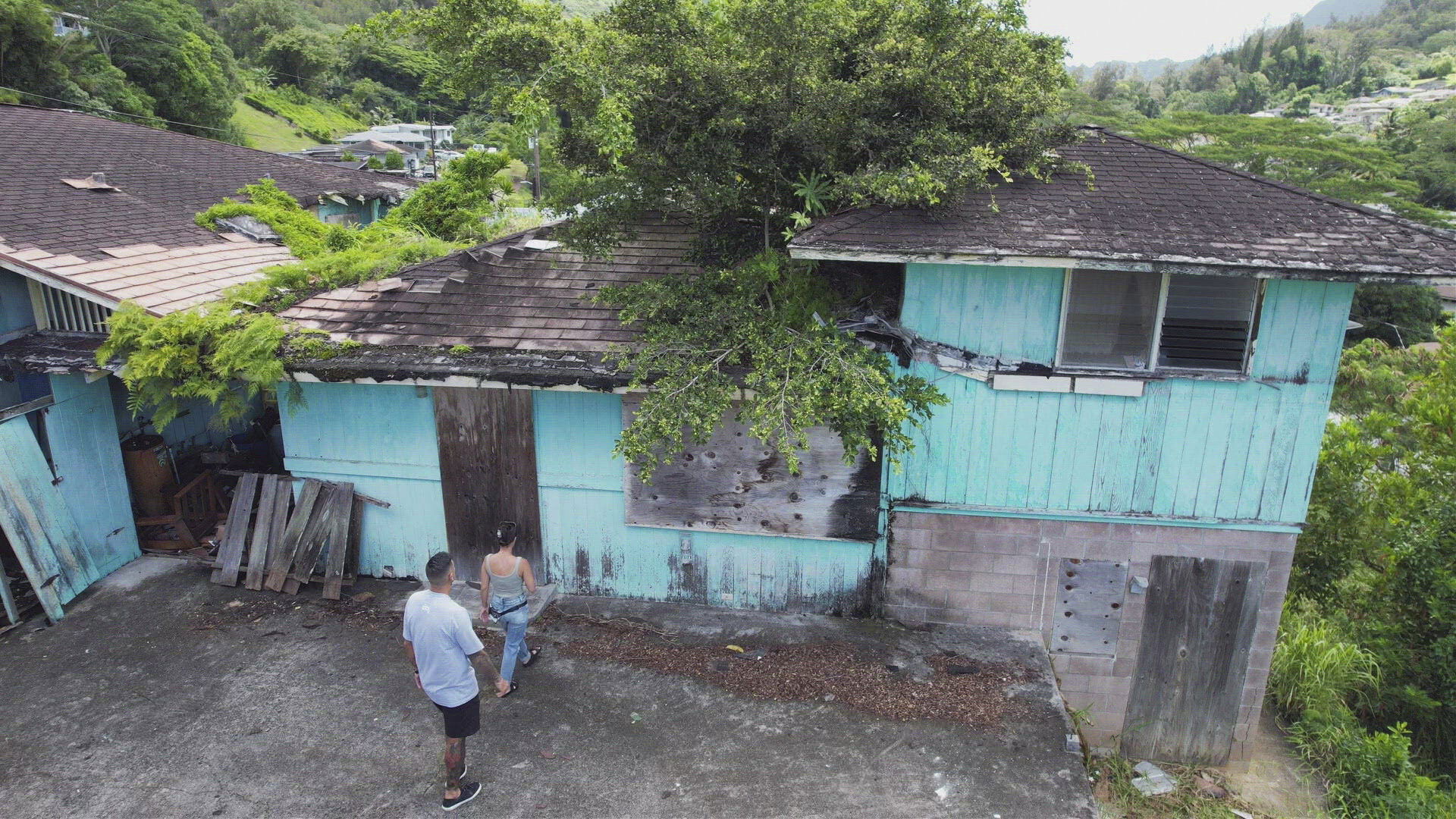 A Tree Through the Roof!