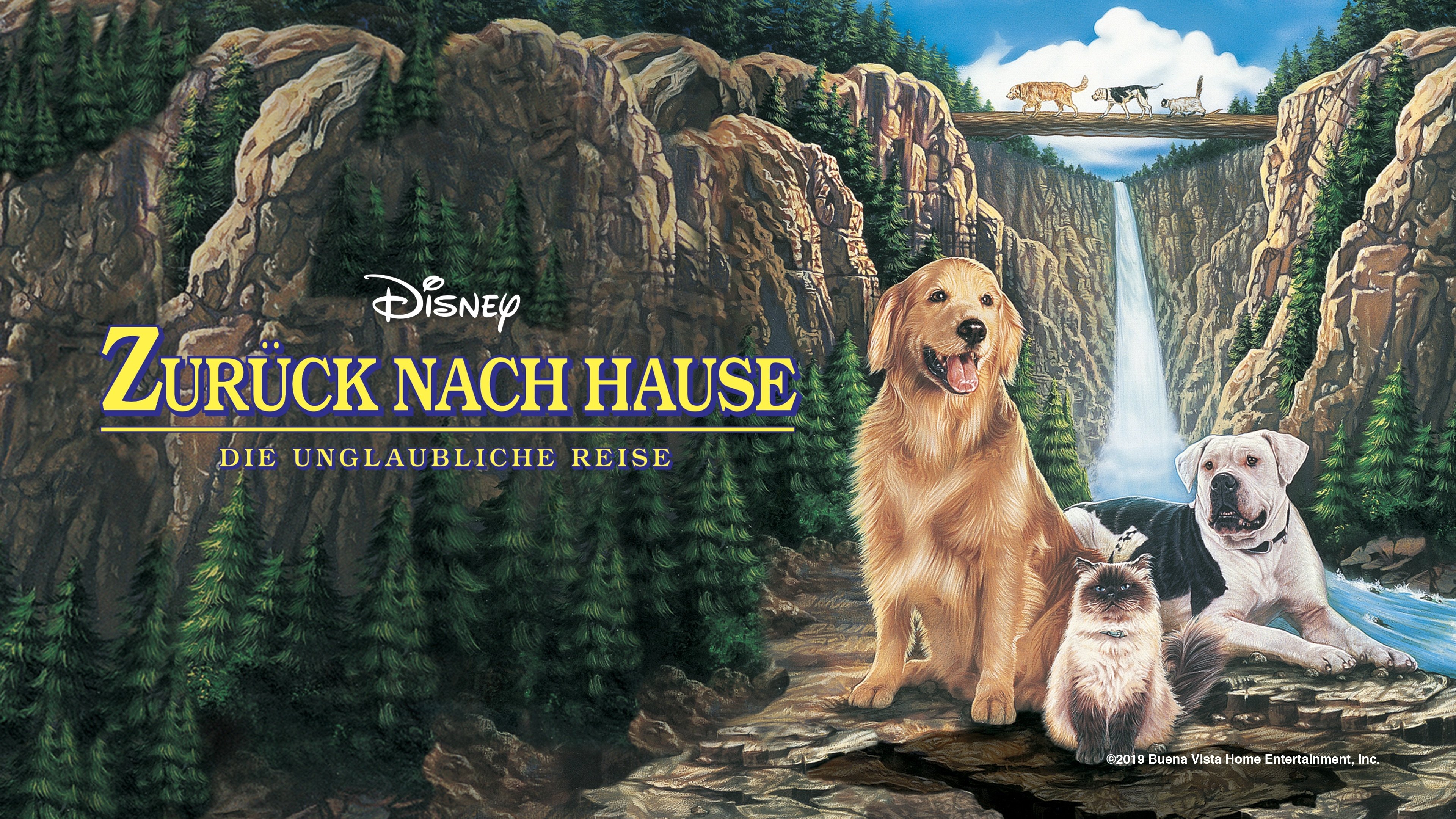 backdrops