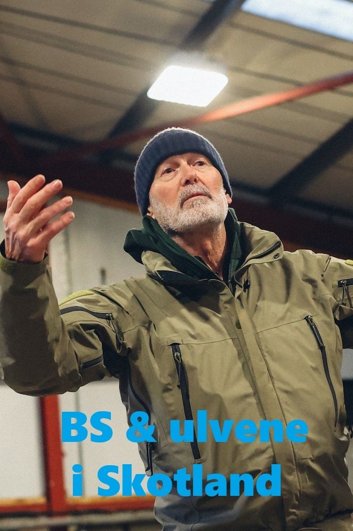 Poster de BS & ulvene i Skotland
