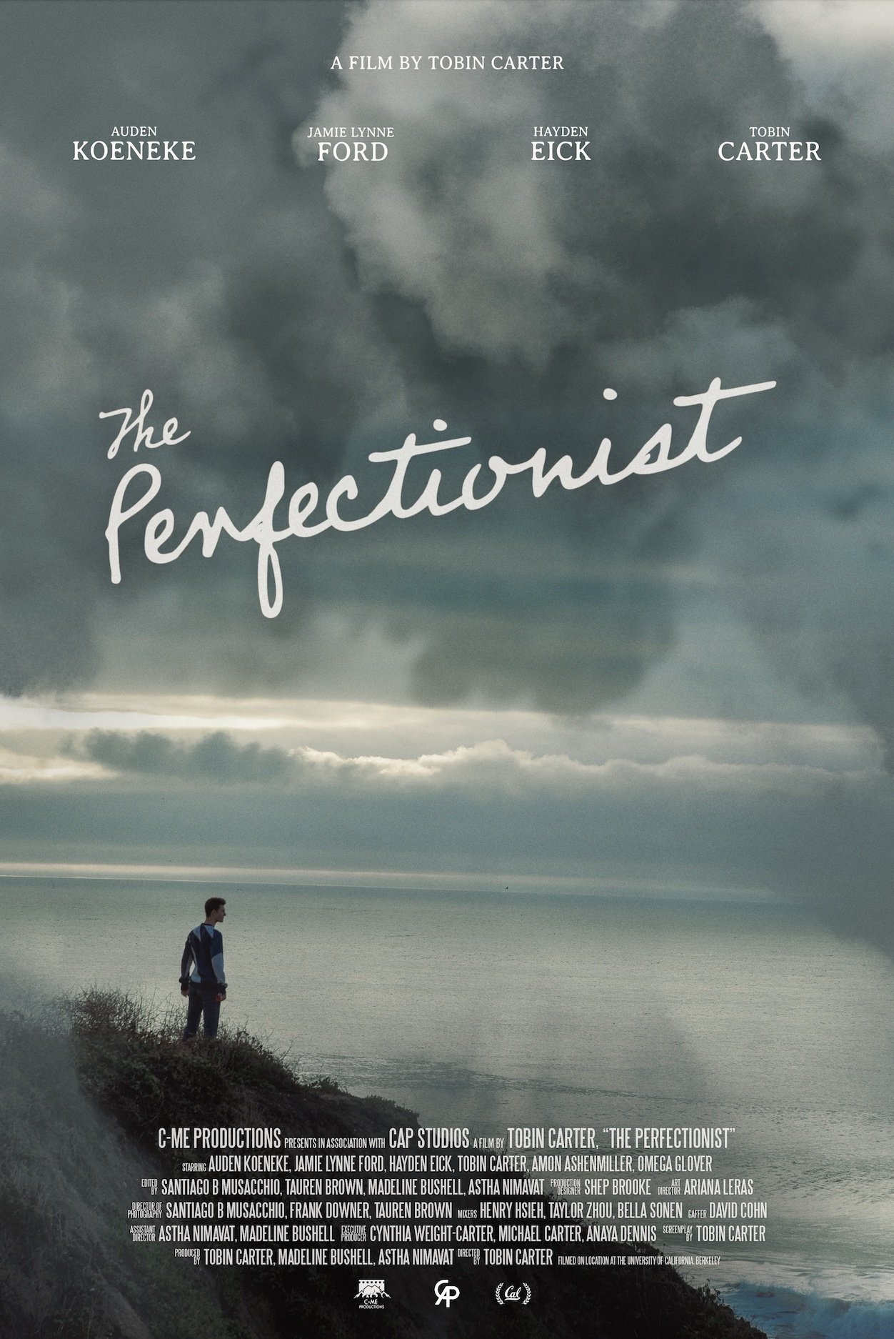 Poster de The Perfectionist