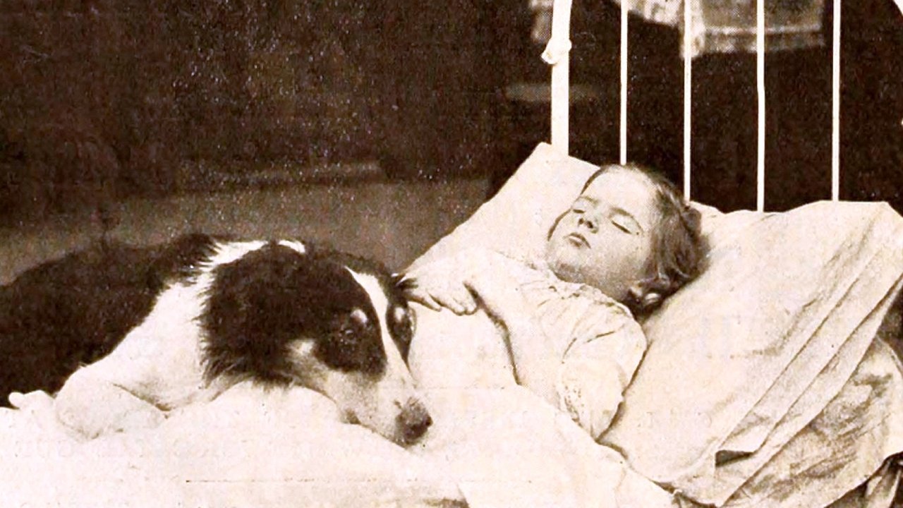 Edith Halleran