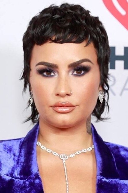 Foto de Demi Lovato