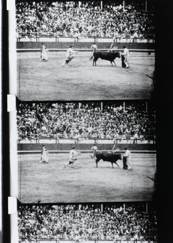 Poster de Corrida