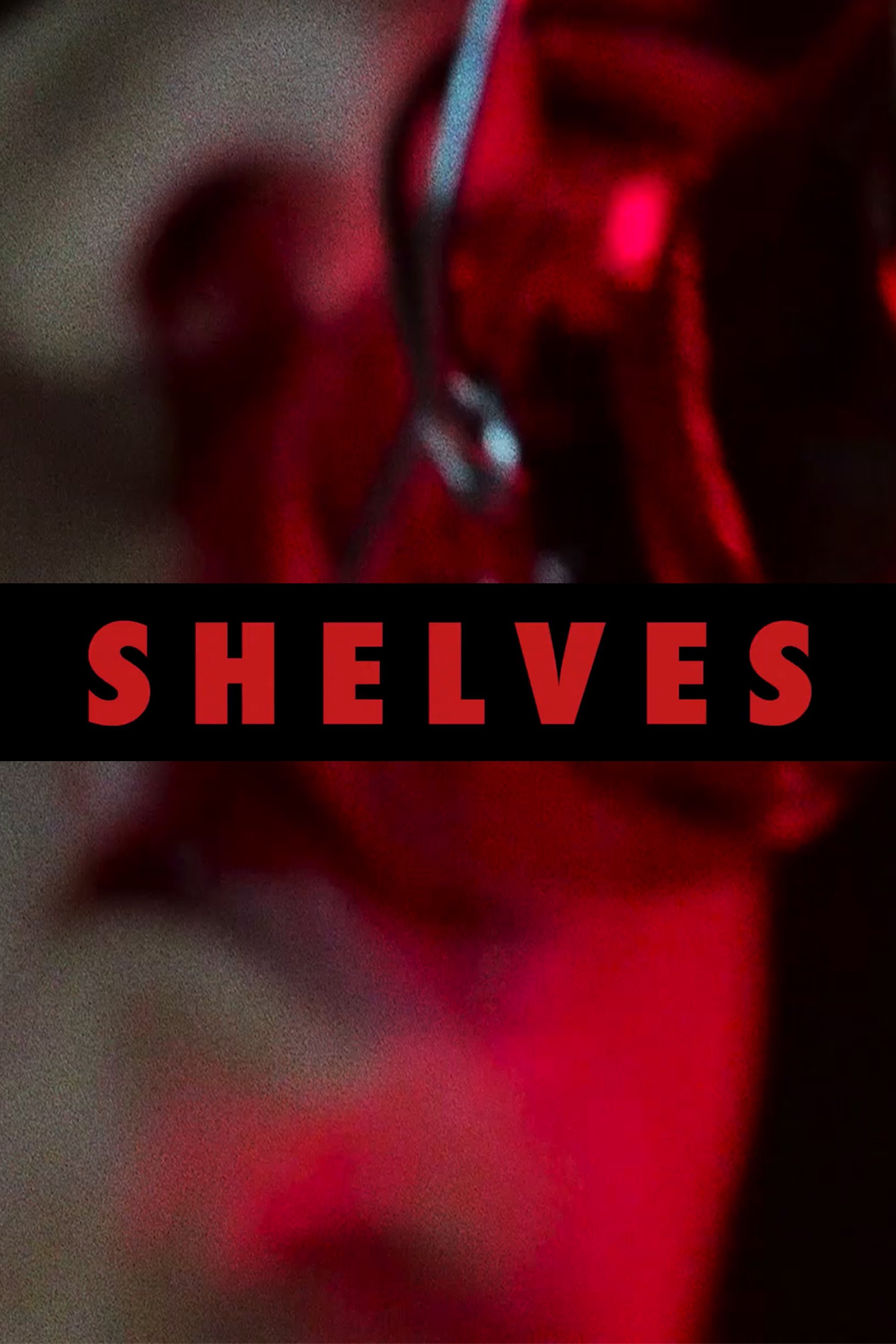 Poster de Shelves