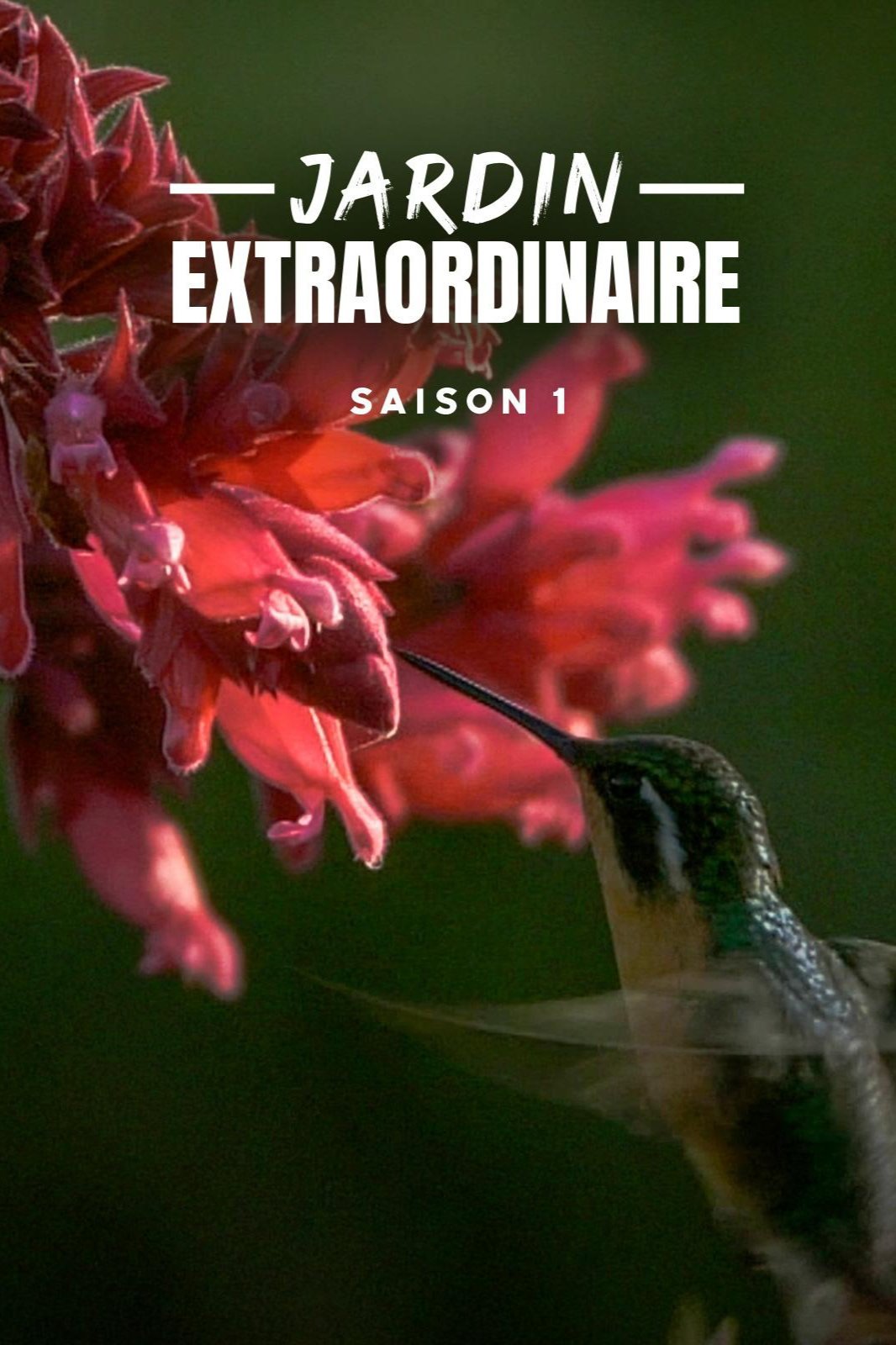 Poster de Temporada 1