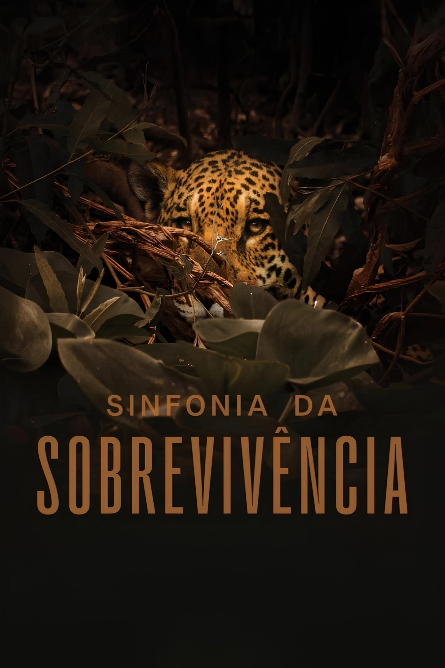 Poster de Sinfonia da Sobrevivência