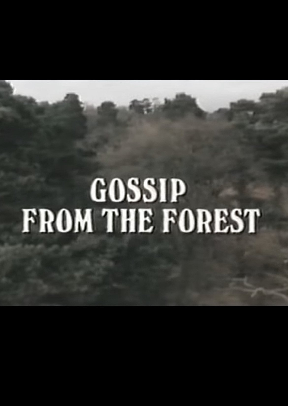 Poster de Gossip from the Forest