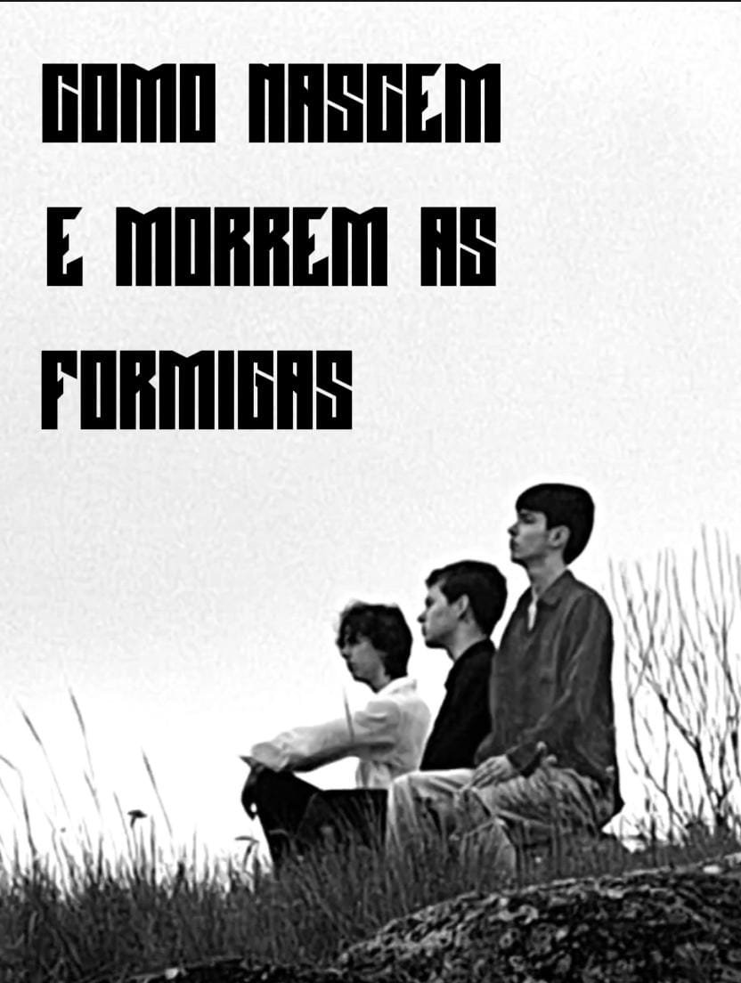 Poster de Como Nascem e Morrem as Formigas