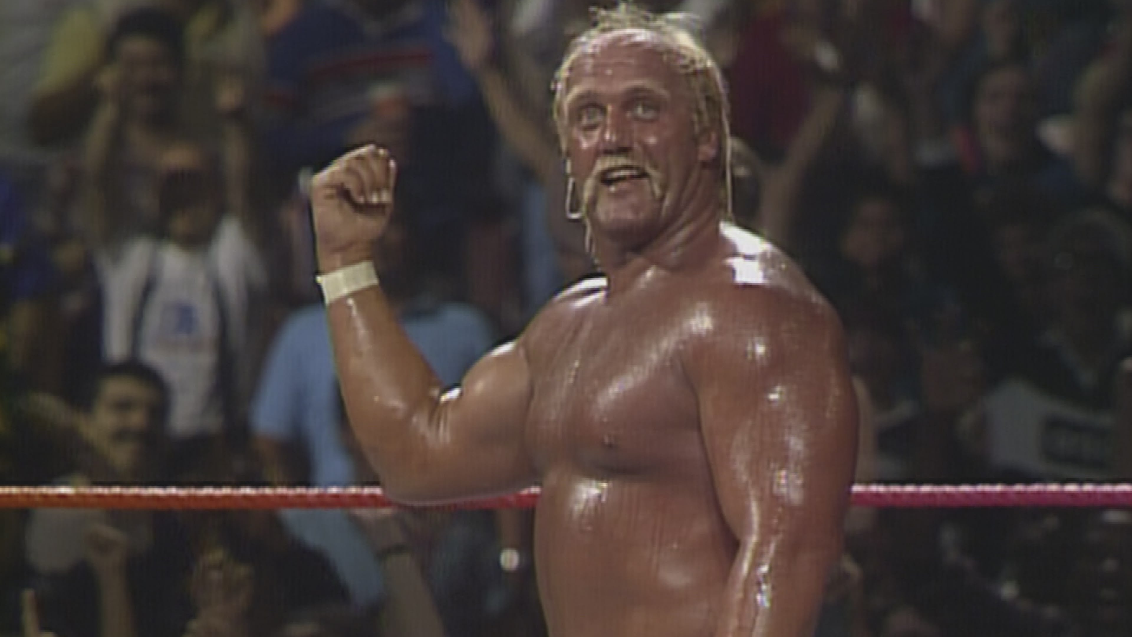 Wrestling Superheroes