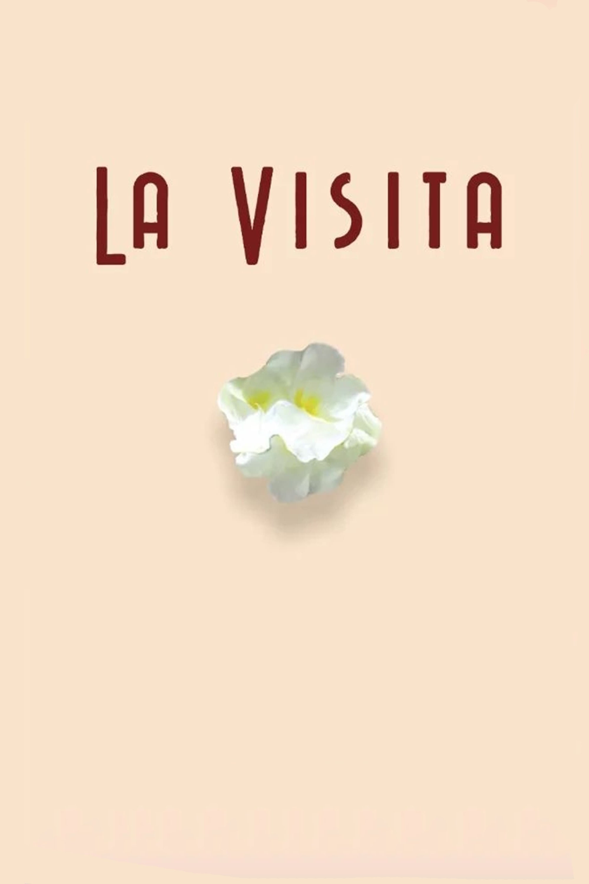 Poster de La visita