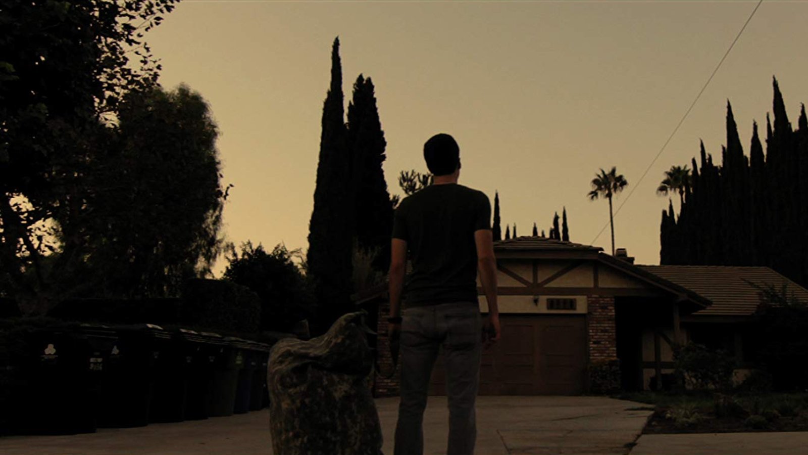 Backdrop image