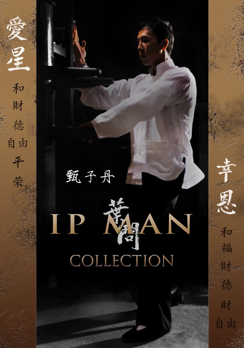 Fiche et filmographie de Ip Man Collection