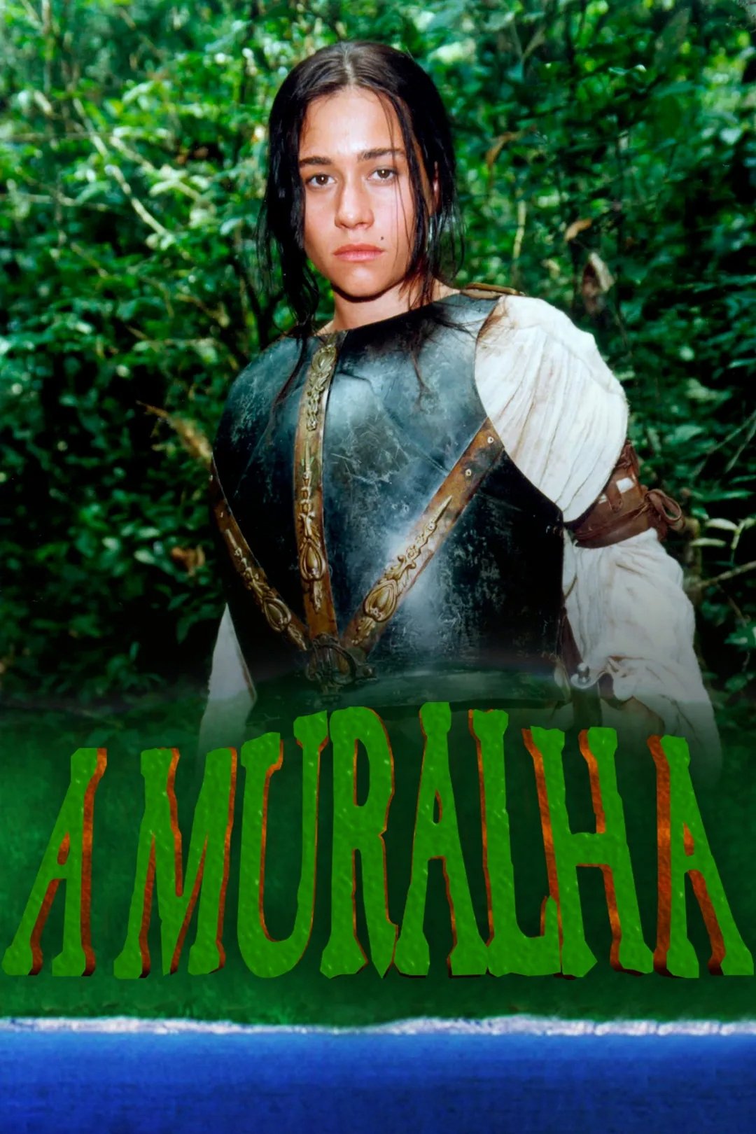 Poster de A Muralha
