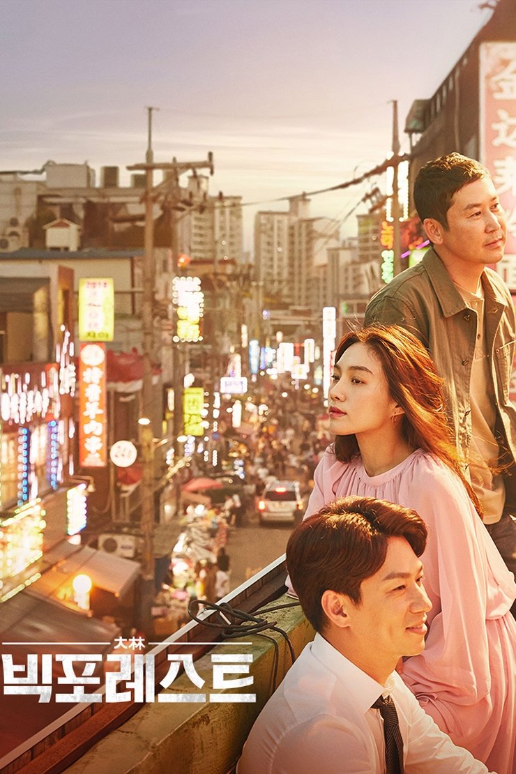 Poster de 빅 포레스트