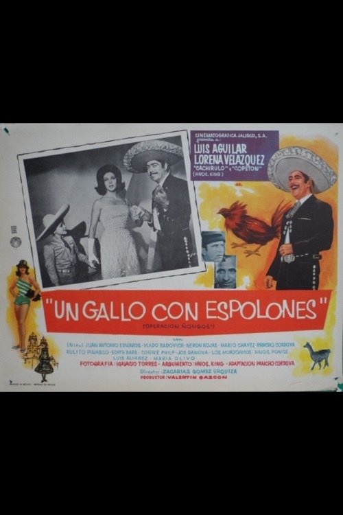 Poster de Un gallo con espolones (Operación ñongos)