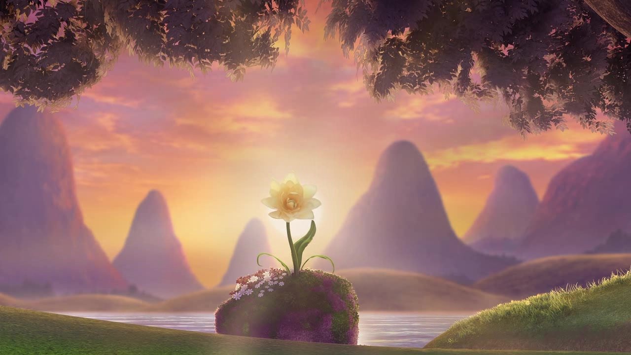 backdrops