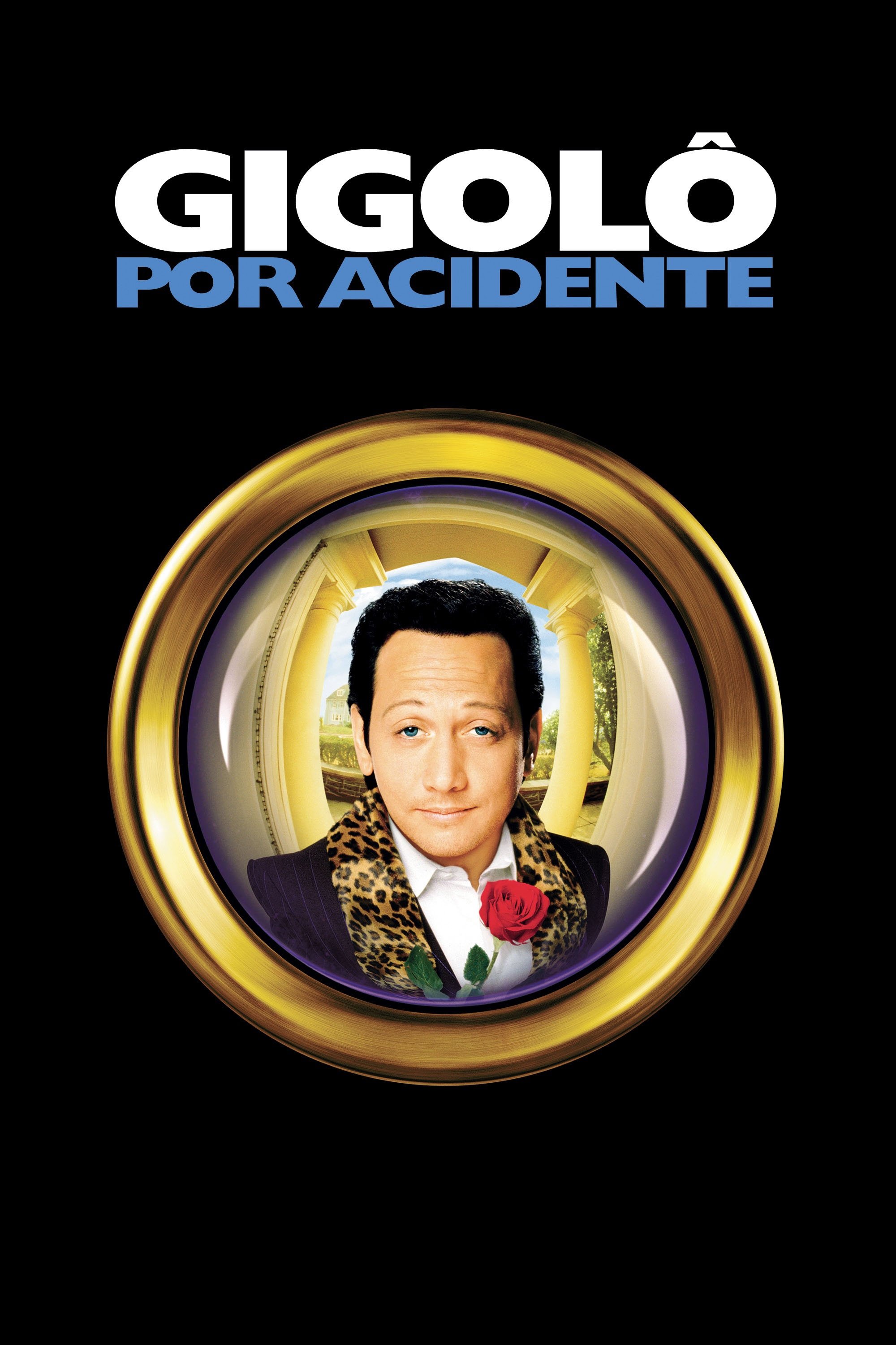 Poster de Gigolô por Acidente