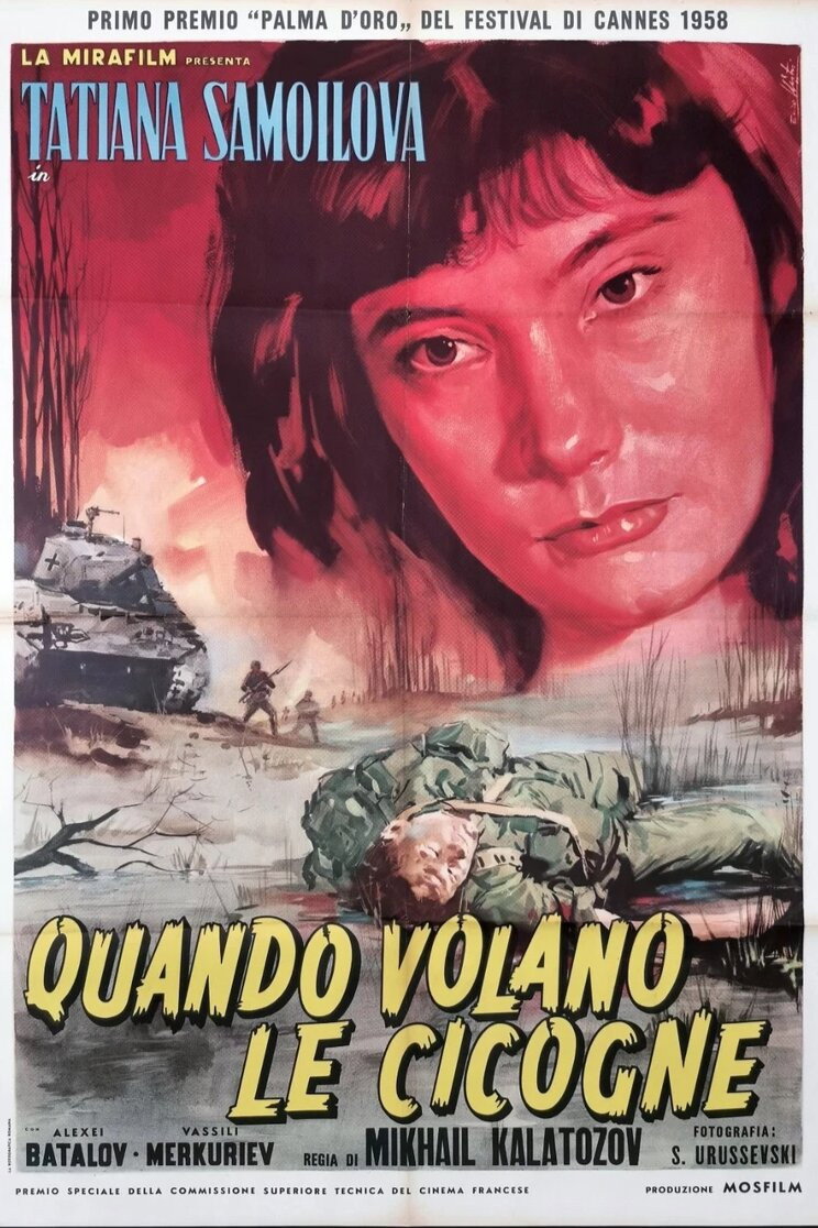 Quando volano le cicogne