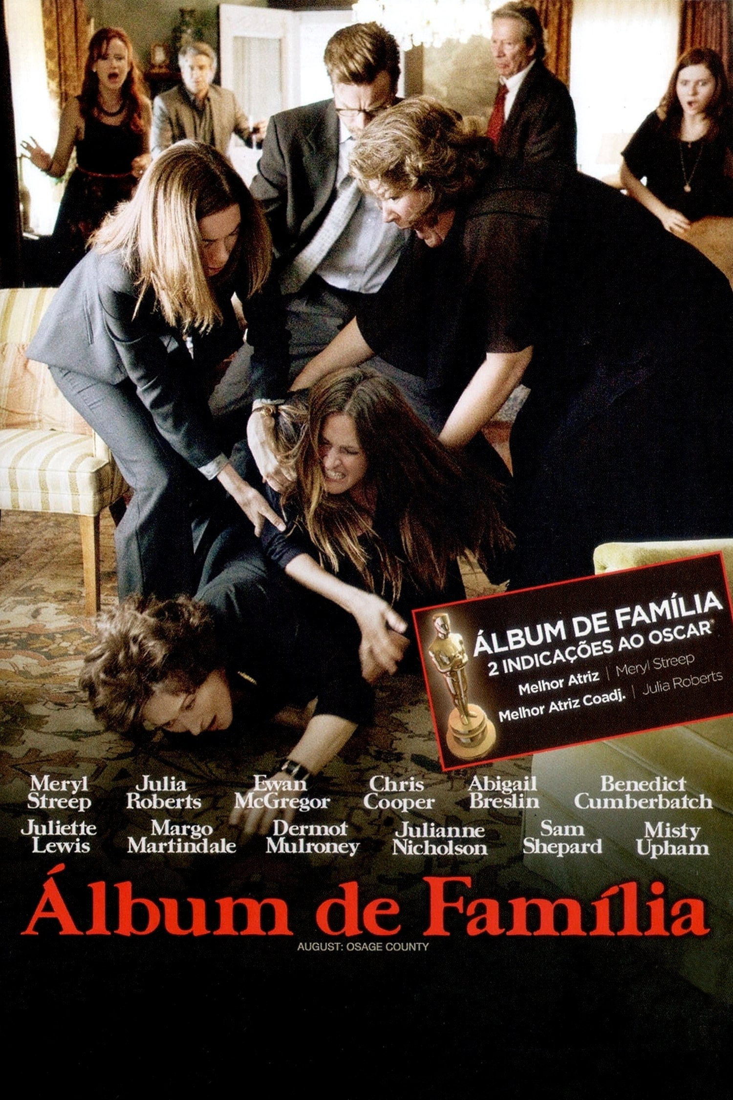 Poster de Álbum de Família