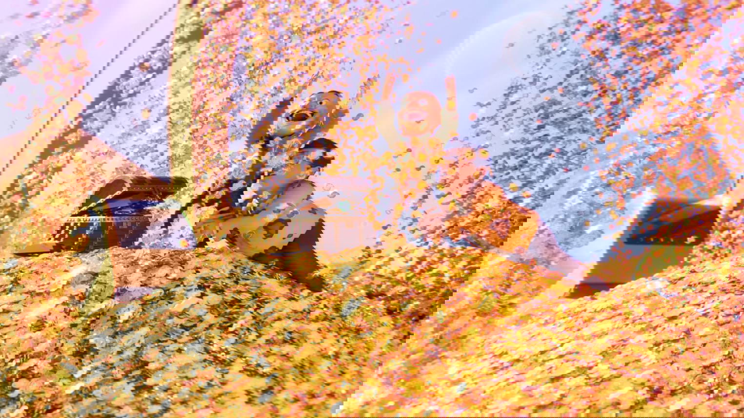 Backdrop image