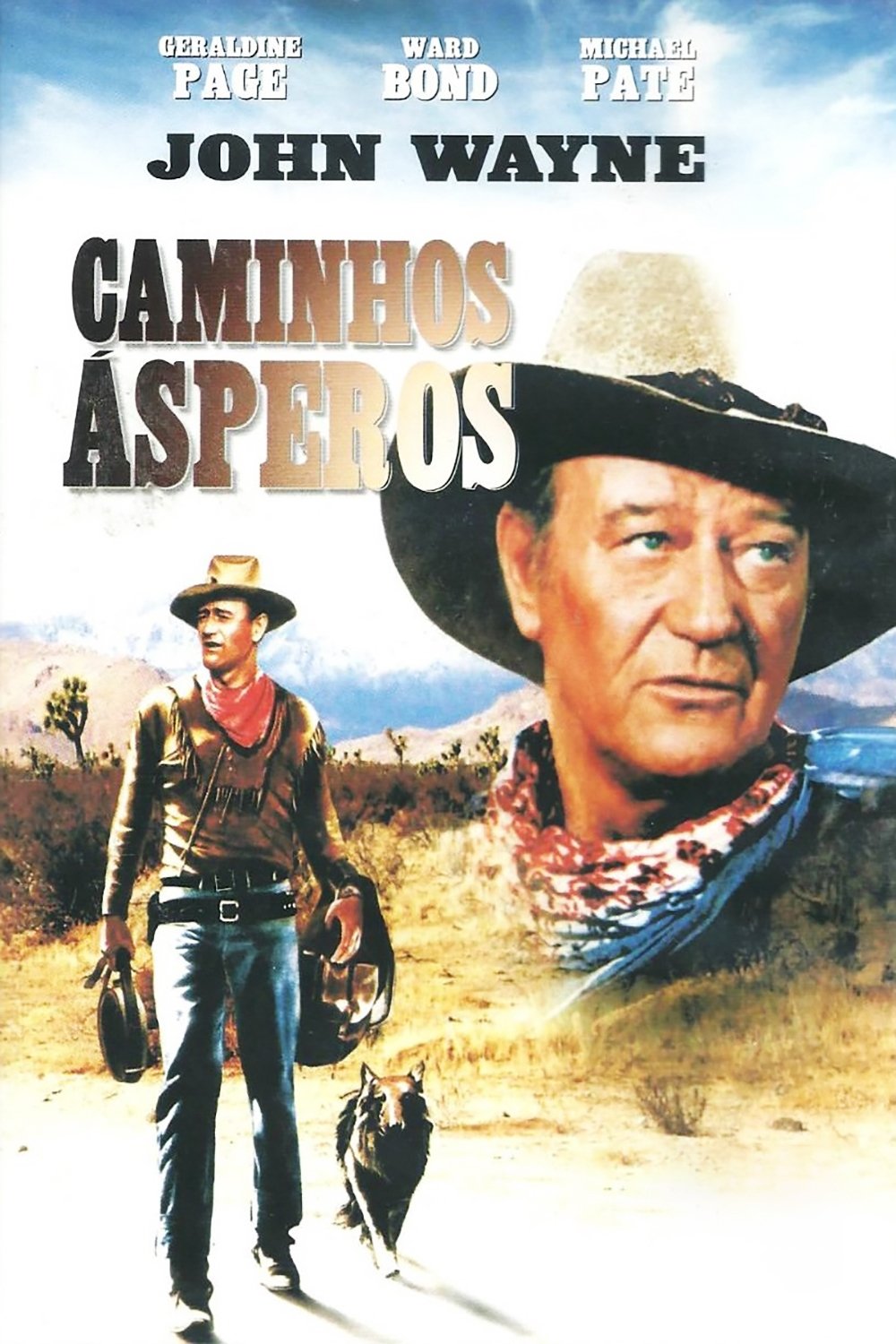 Poster de Caminhos Ásperos