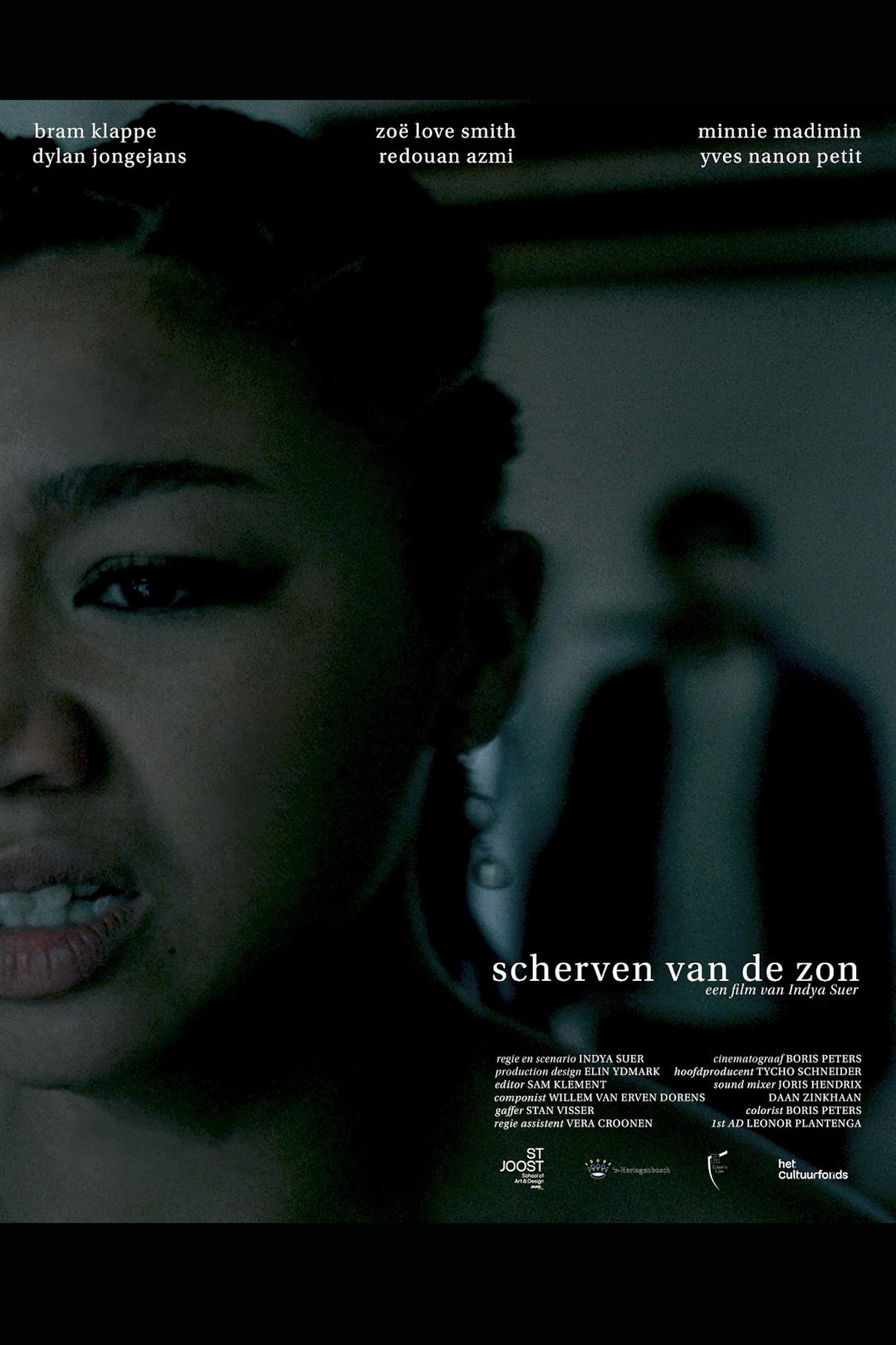 Poster de Scherven van de Zon