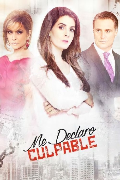 Poster de Me declaro culpable