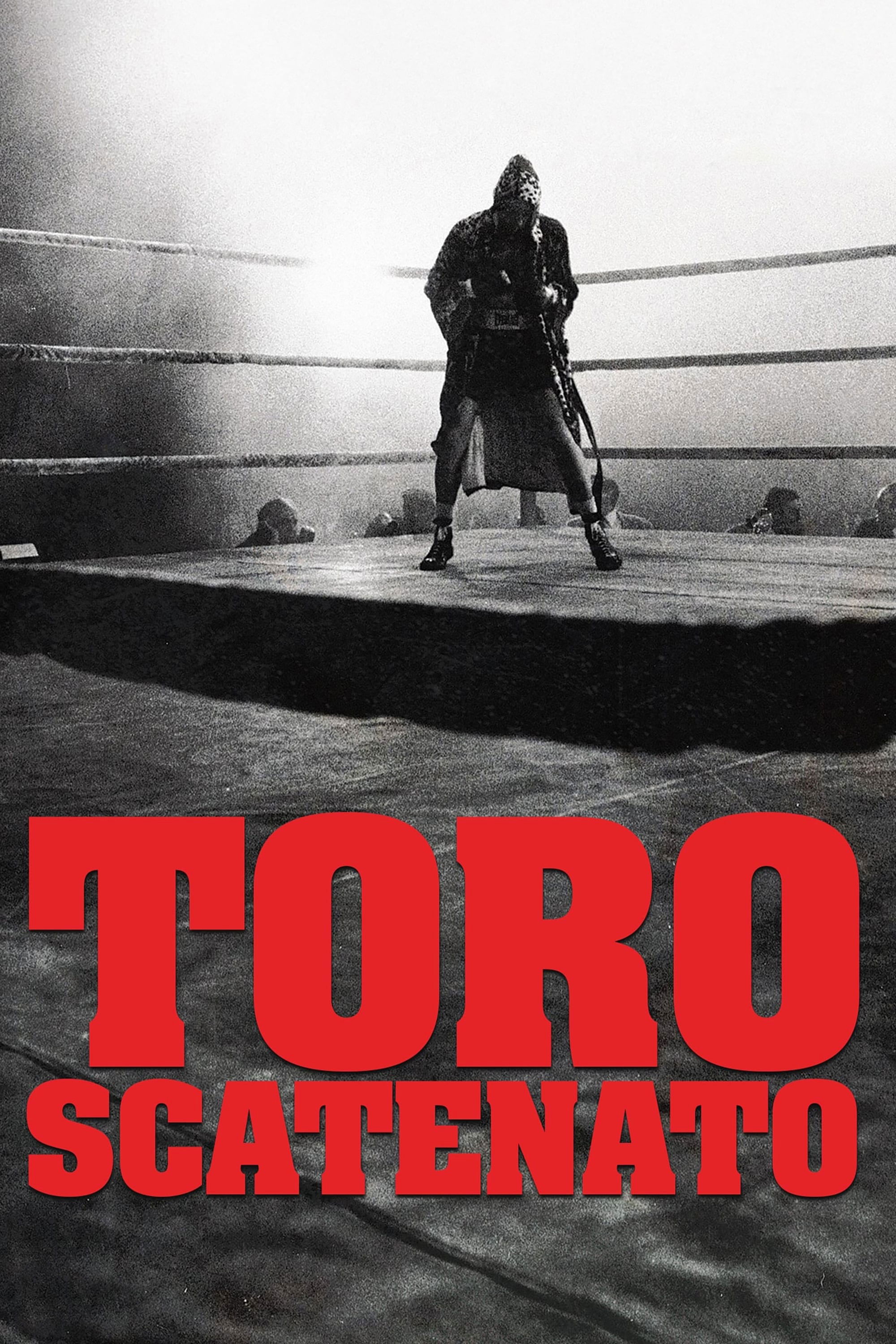 Toro scatenato