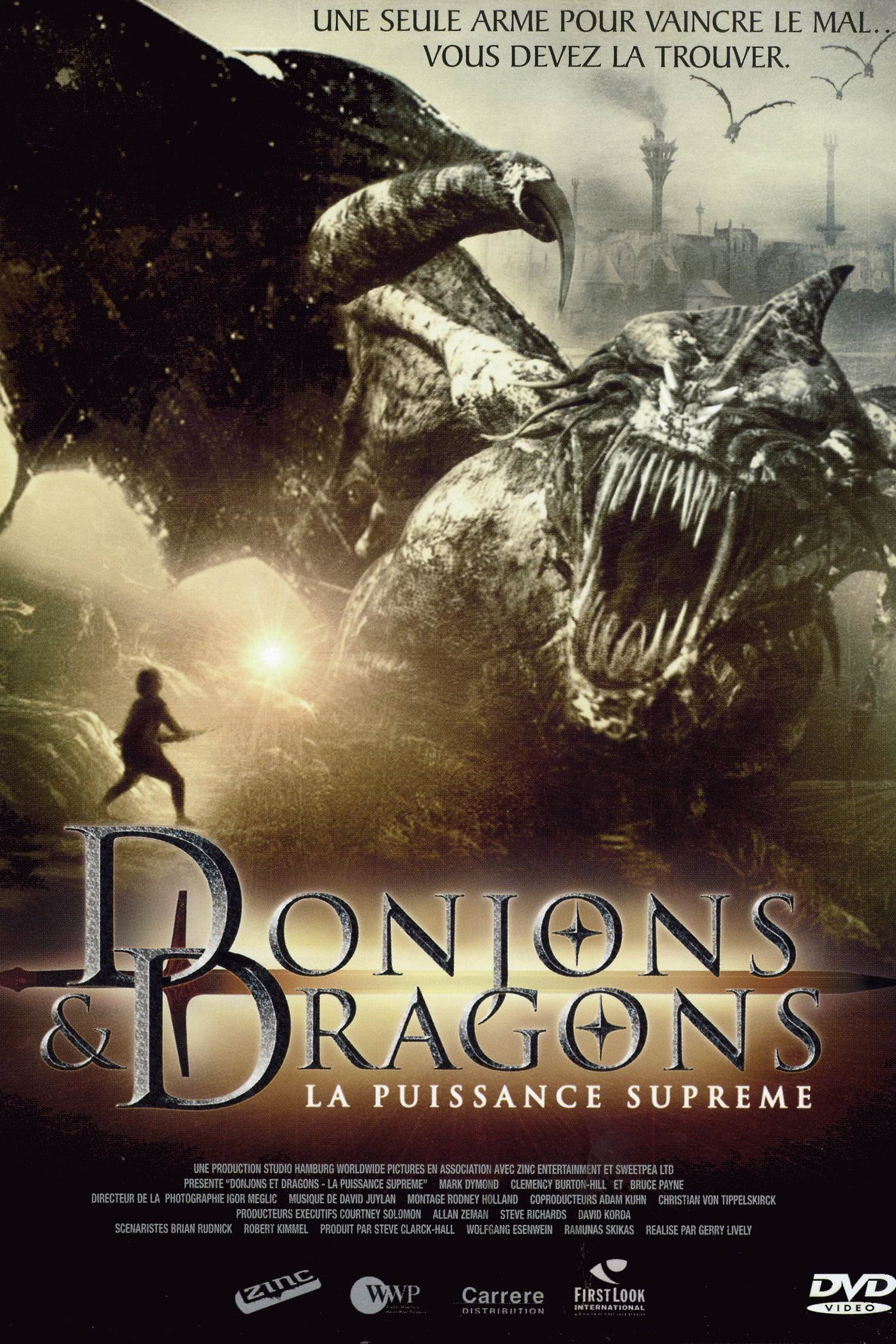 Dungeons & Dragons: Wrath of the Dragon God
