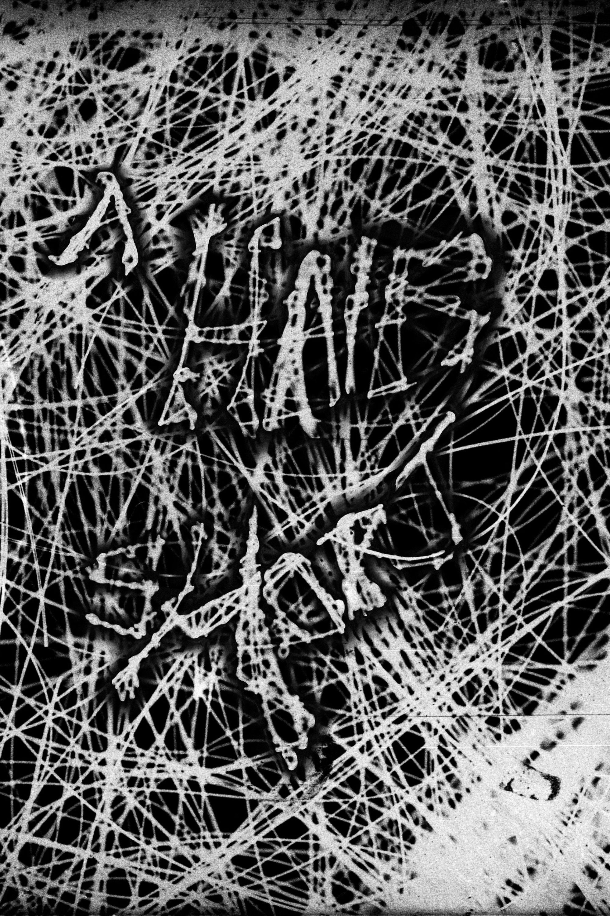 Poster de A Hair Short