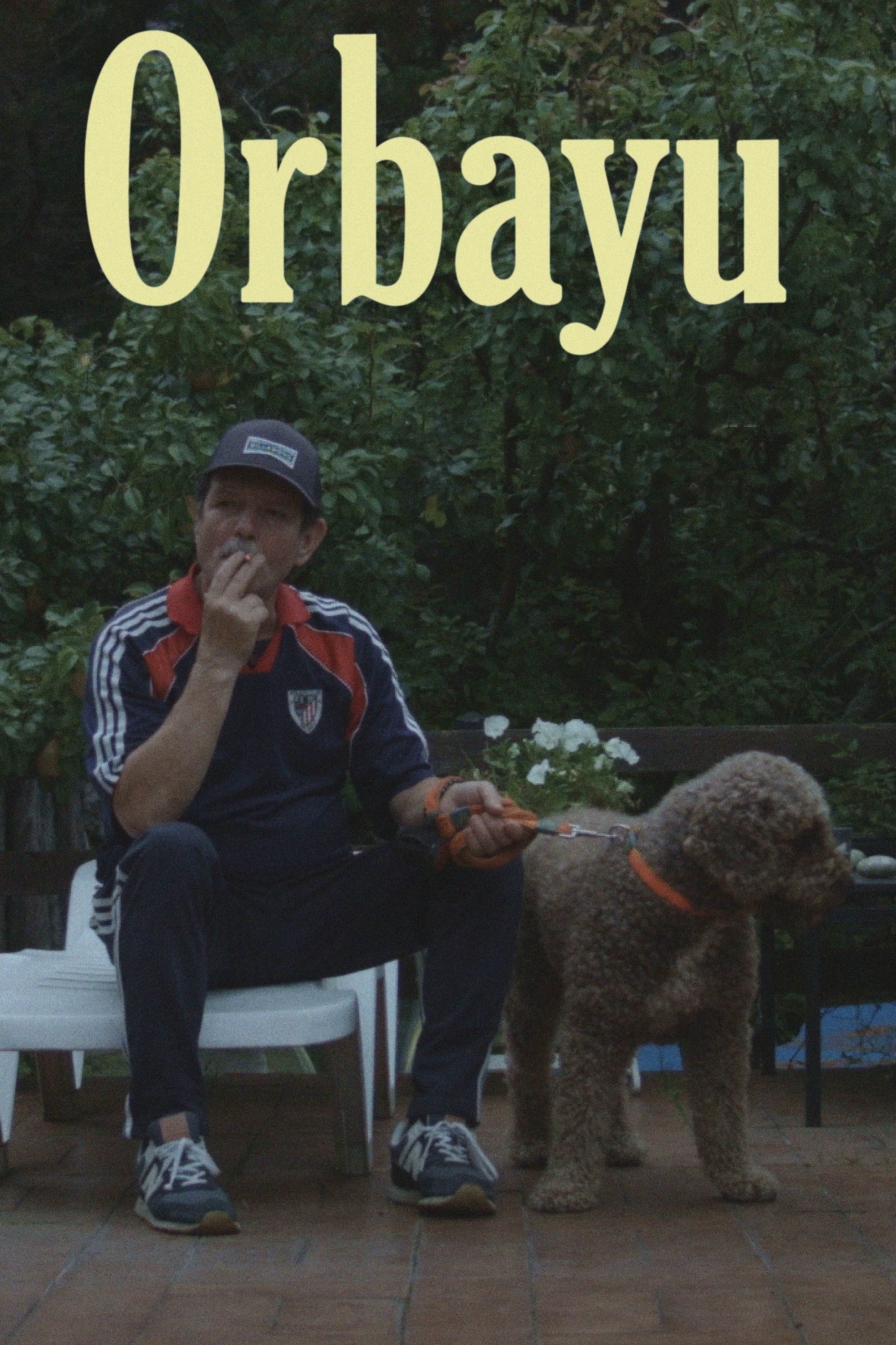 Poster de Orbayu