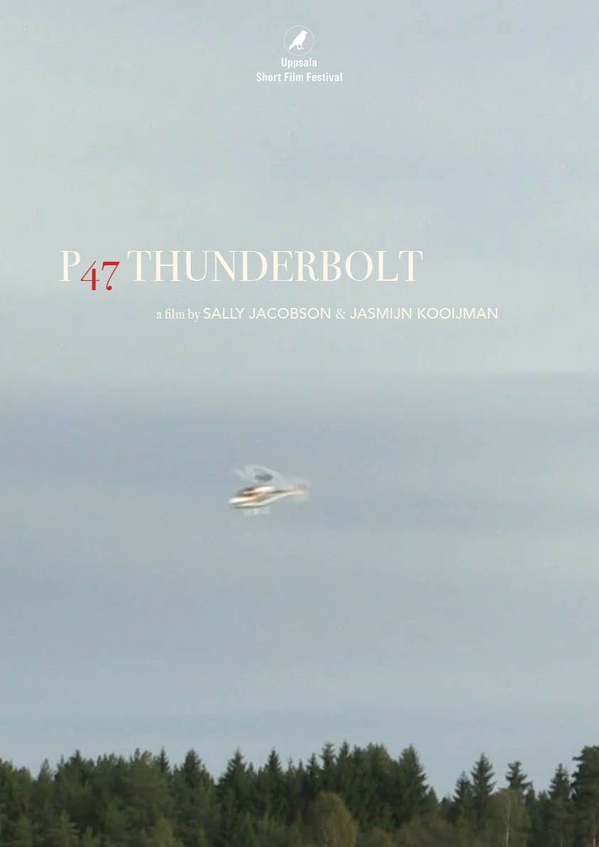 Poster de P47 Thunderbolt