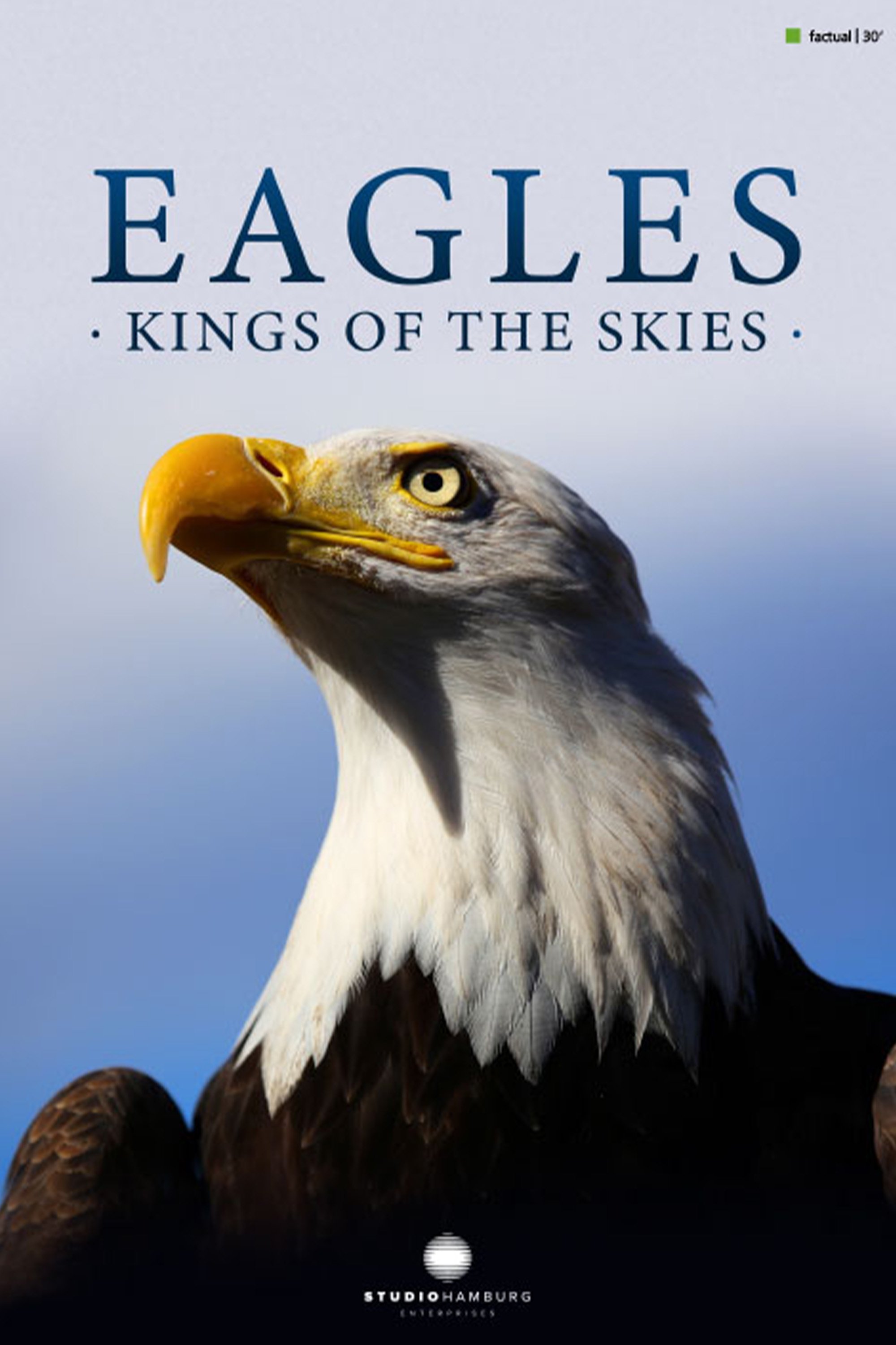 Poster de Eagles - Kings of the skies