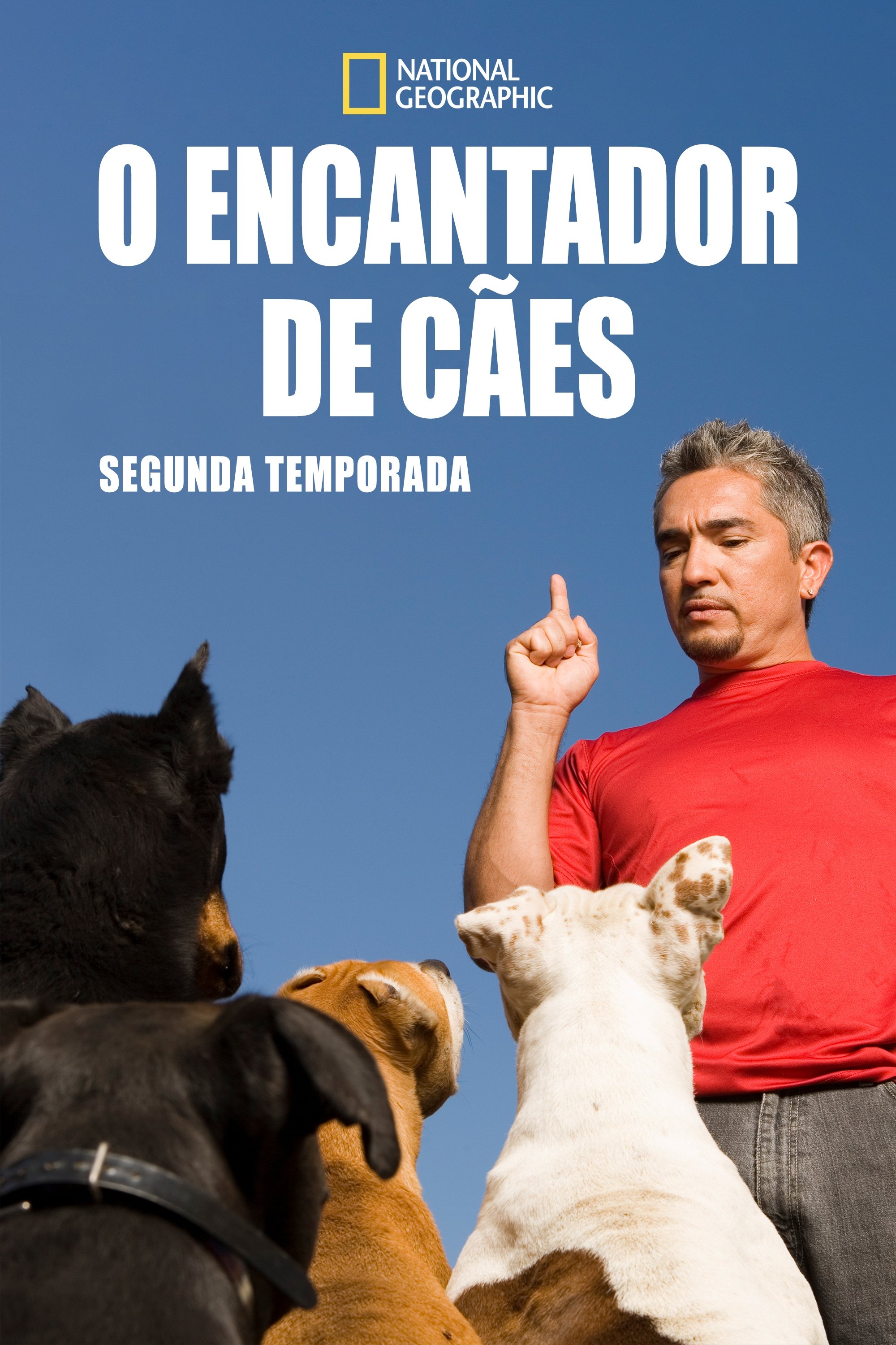 Poster de Temporada 2