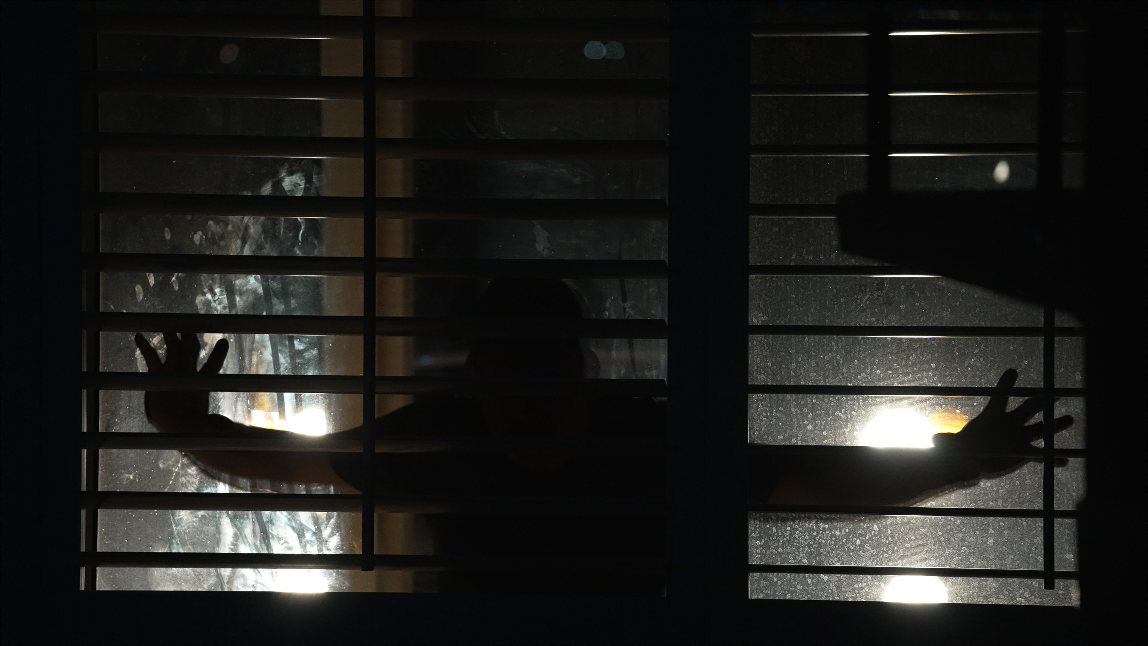 Spread: Pigs to Slaughter